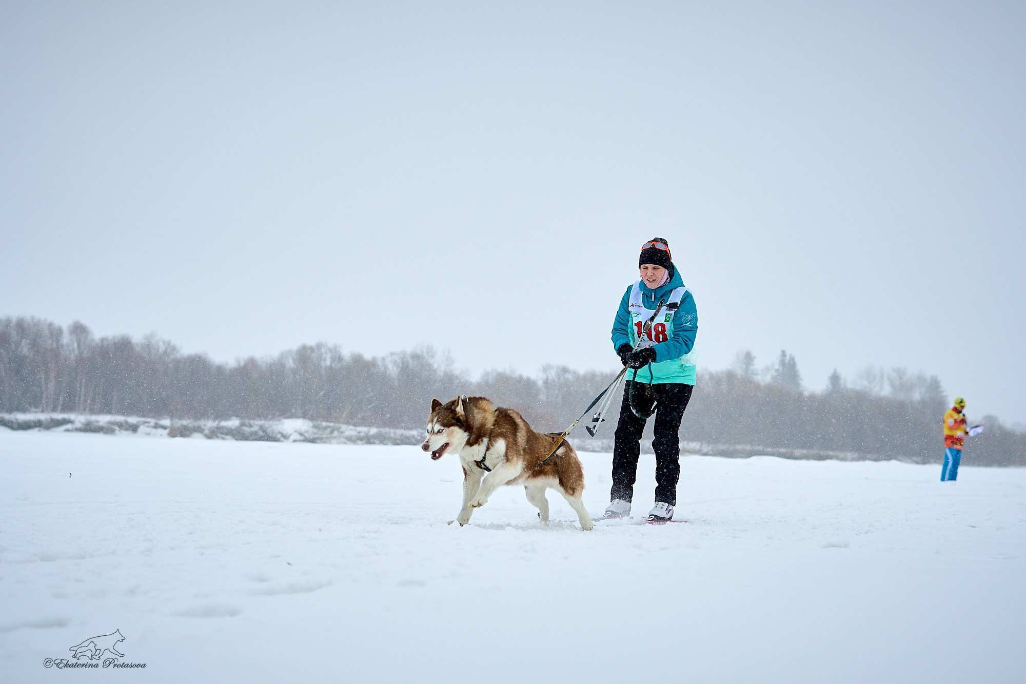 Соревнования по скиджорингу. Фотограф-анималист в Иркутске