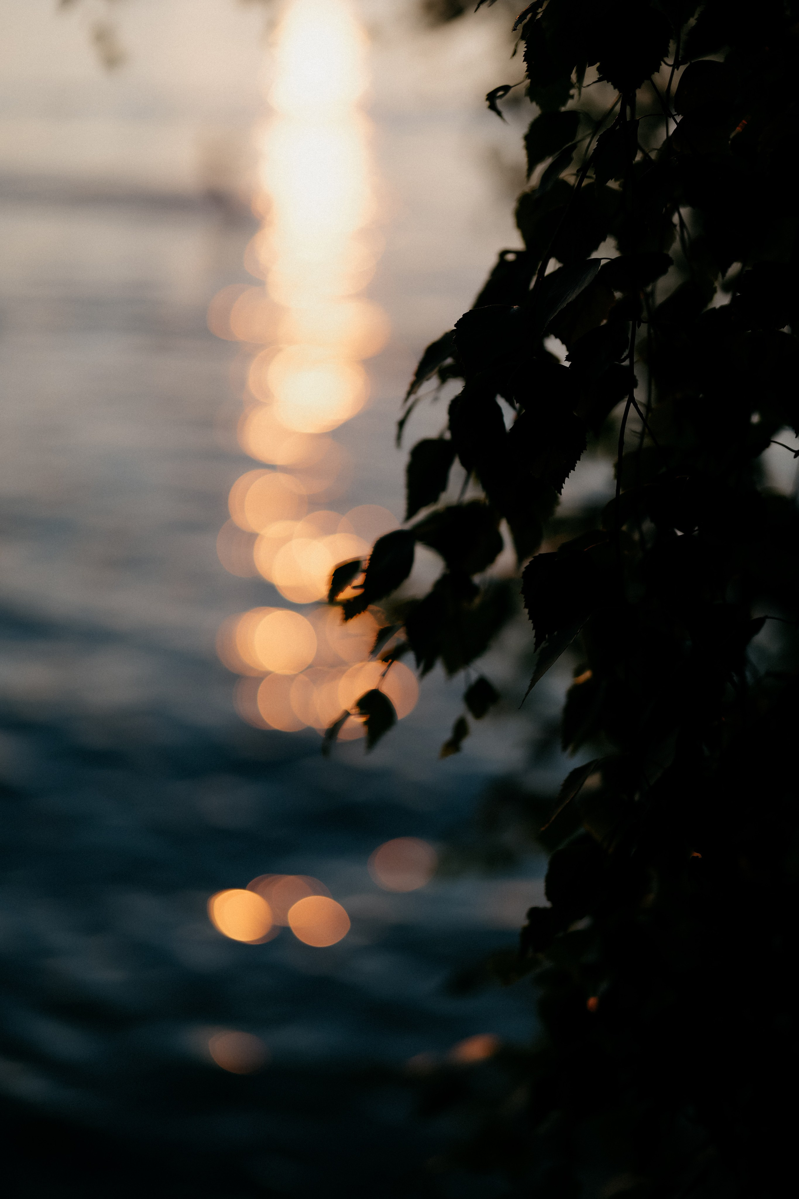 Garda Fest. Фотограф в Москве Дмитрий Рогов