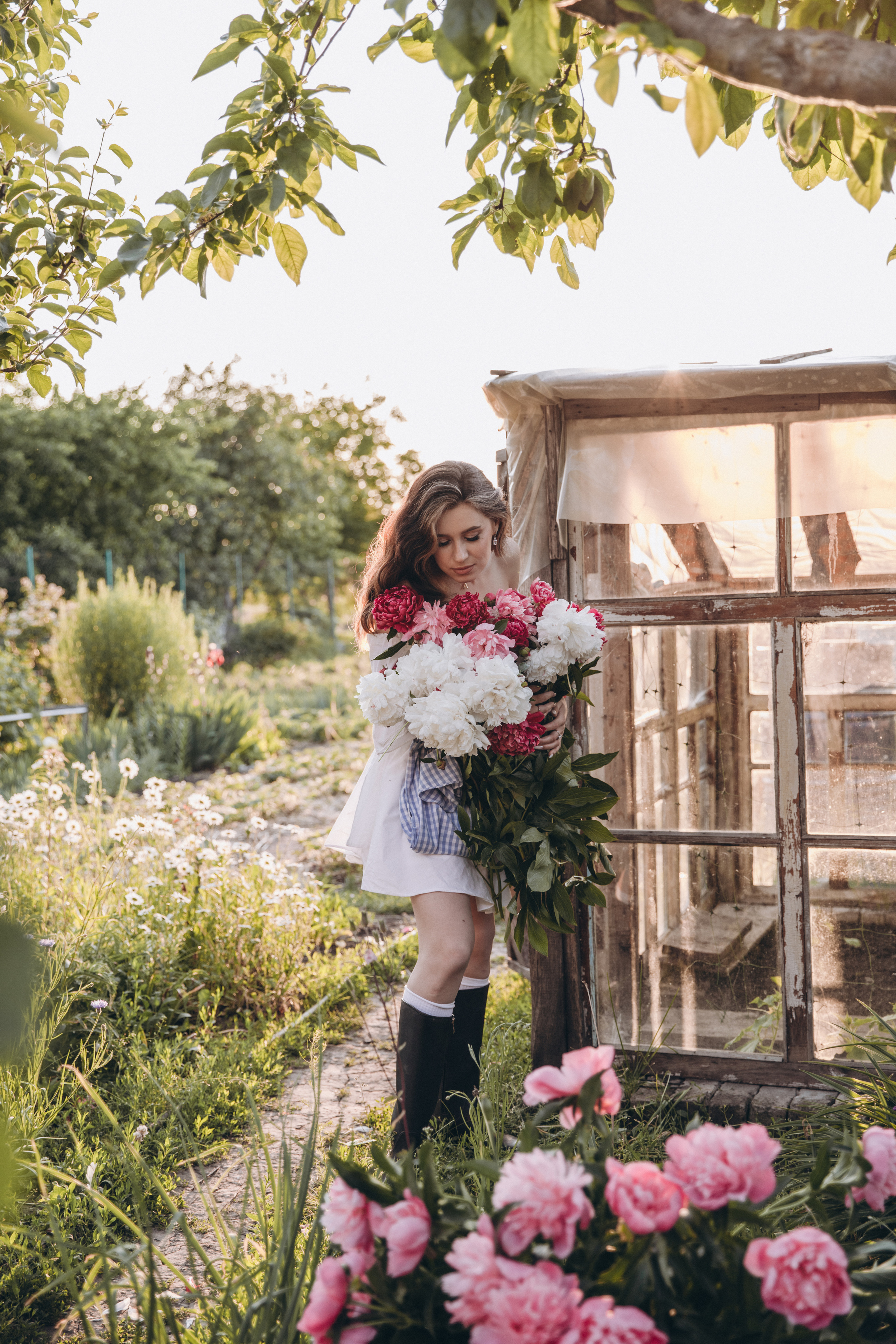 Пионы. Фотограф Воронеж/Белгород/Курск/все виды съемок