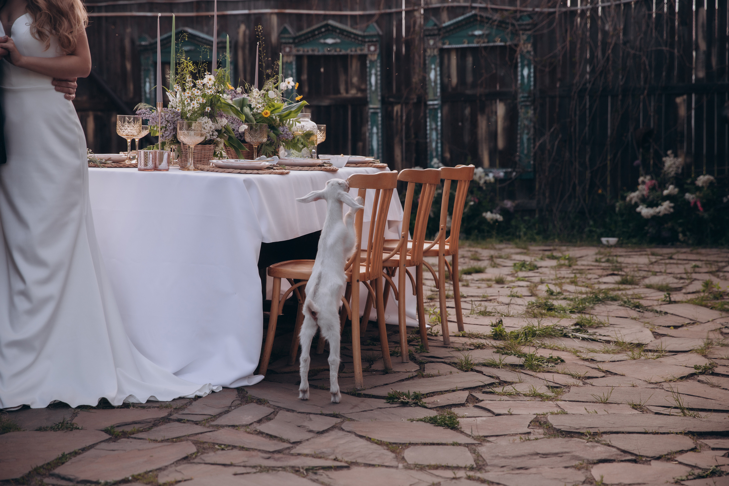 Курск. Фотограф Воронеж/Белгород/Курск/все виды съемок