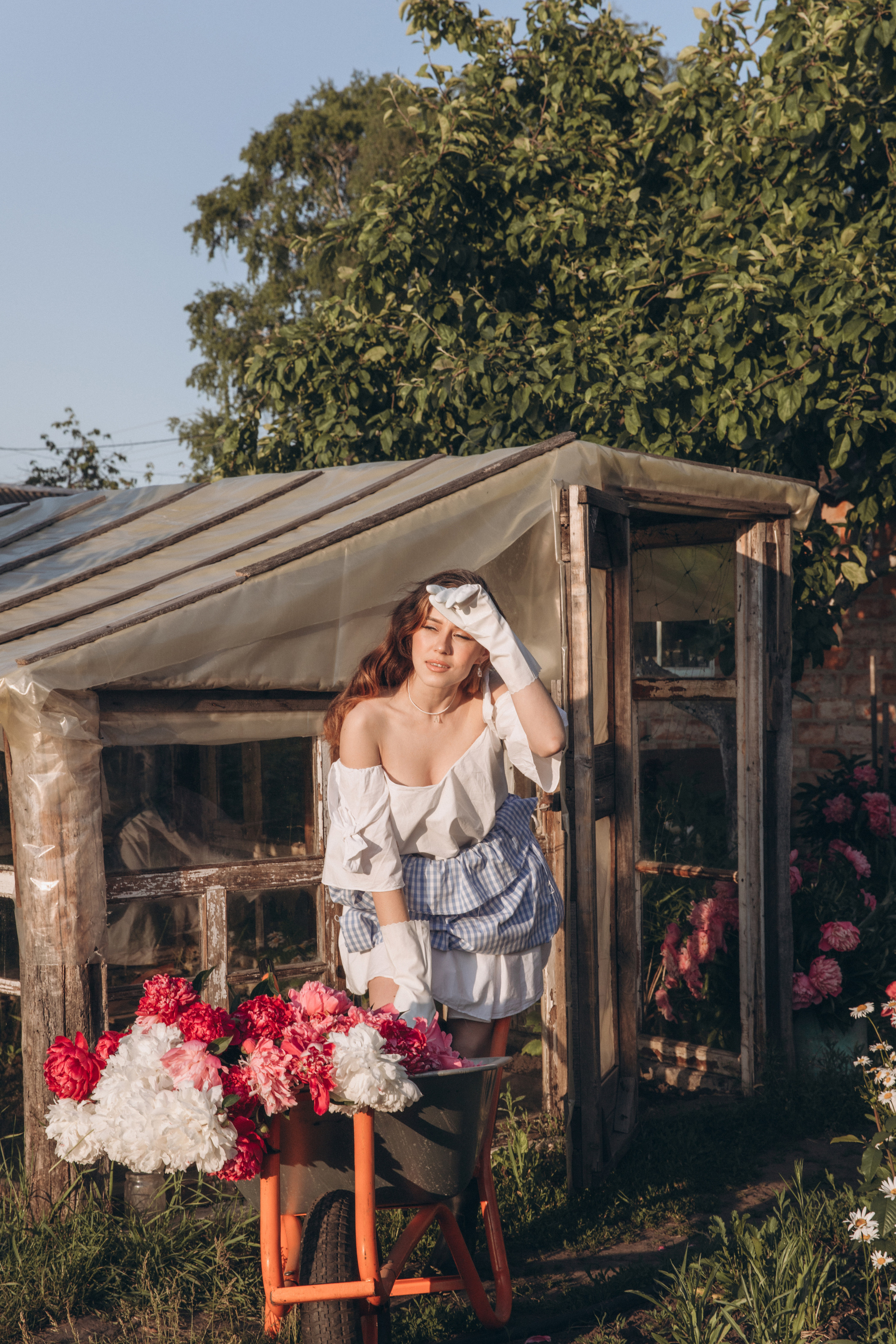 Пионы. Фотограф Воронеж/Белгород/Курск/все виды съемок