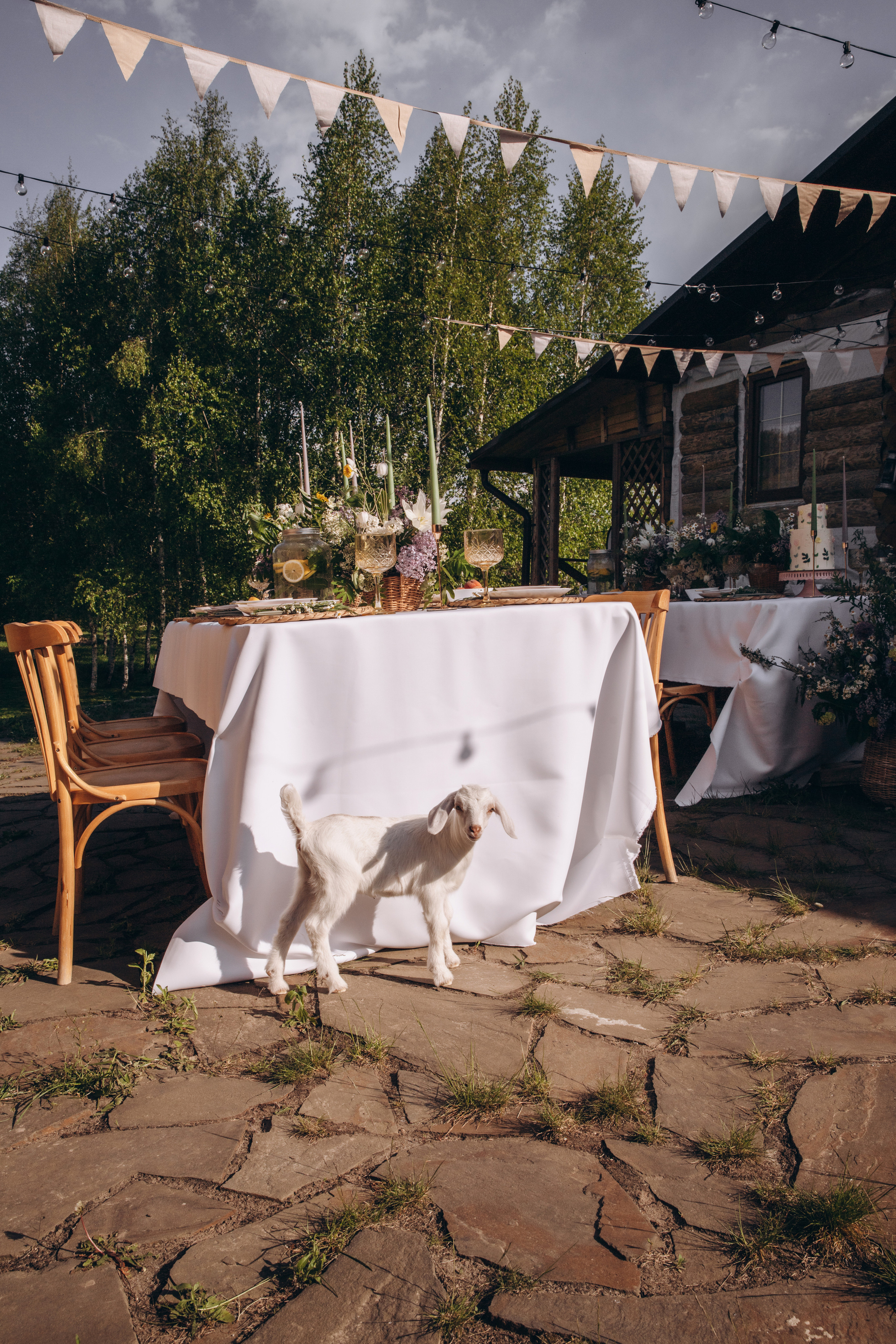 Курск. Фотограф Воронеж/Белгород/Курск/все виды съемок
