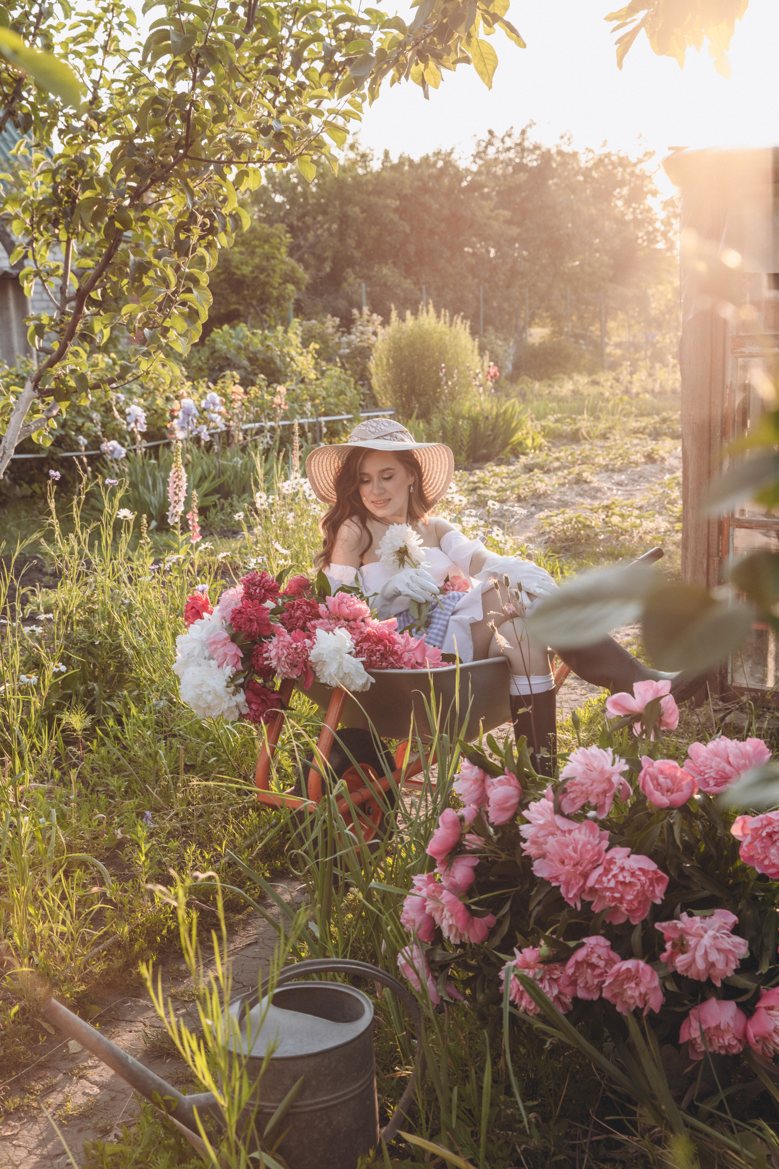 Пионы. Фотограф Воронеж/Белгород/Курск/все виды съемок
