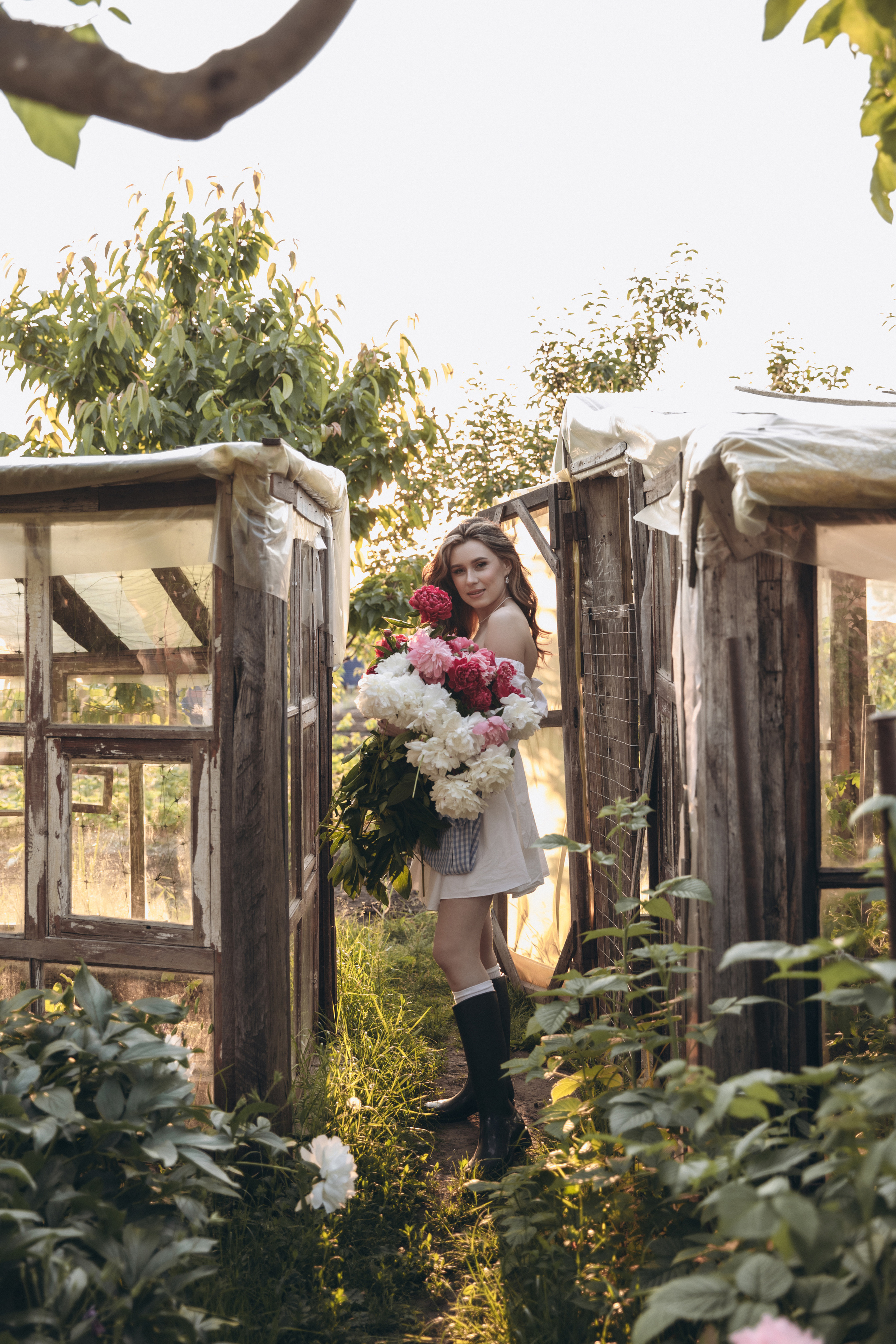 Пионы. Фотограф Воронеж/Белгород/Курск/все виды съемок