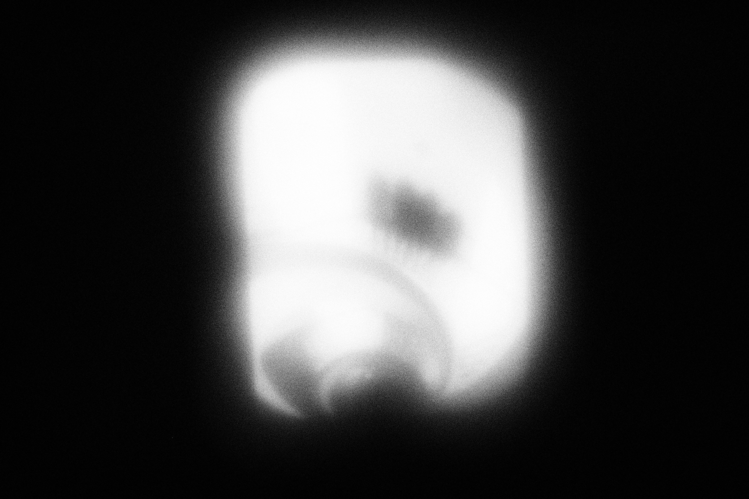 Маленькие искусства и я, Полина Шадрина