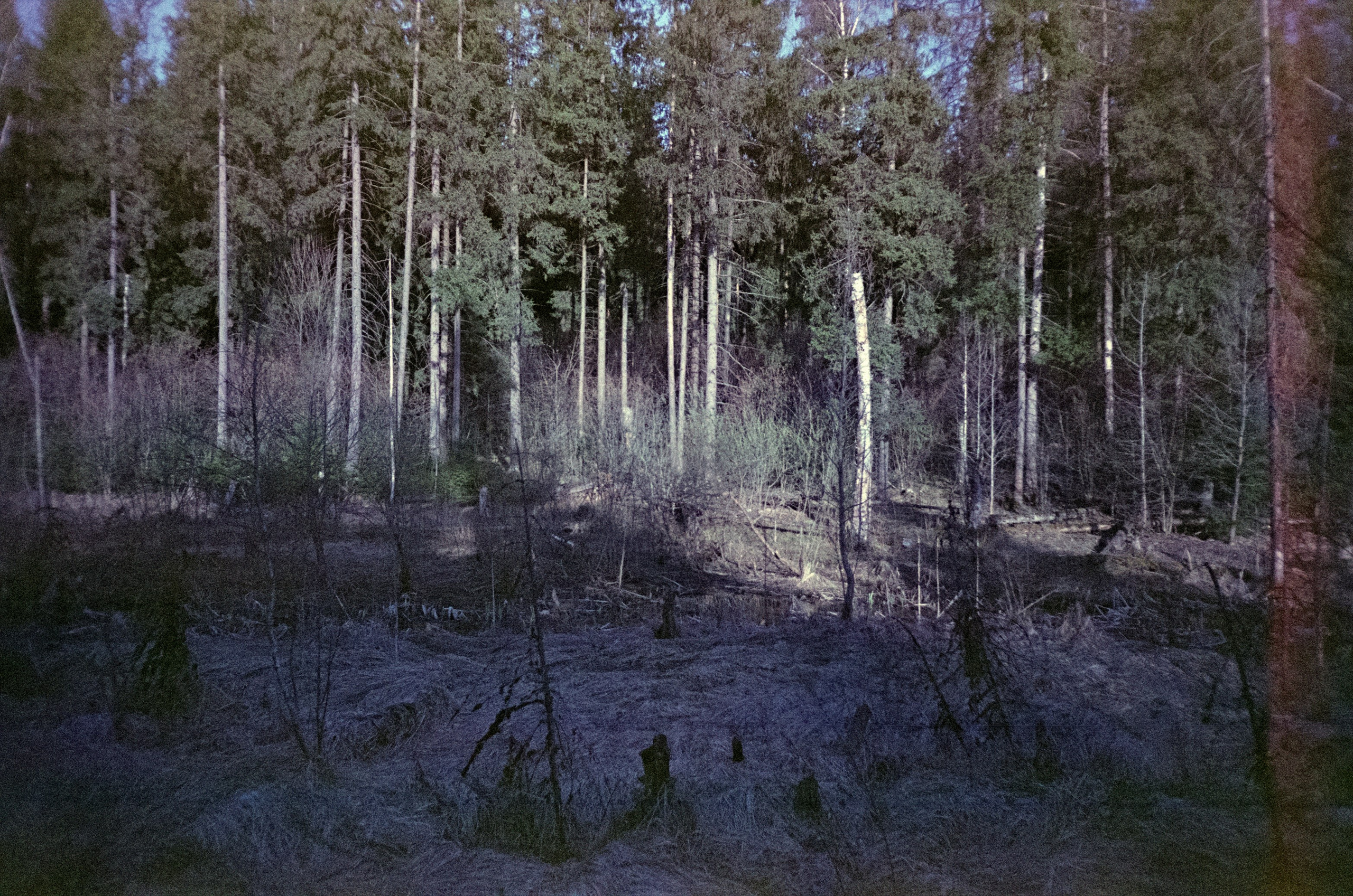 Ricoh R1 | Fujicolor Superia X-tra 400 (просрочка) @ ISO 100