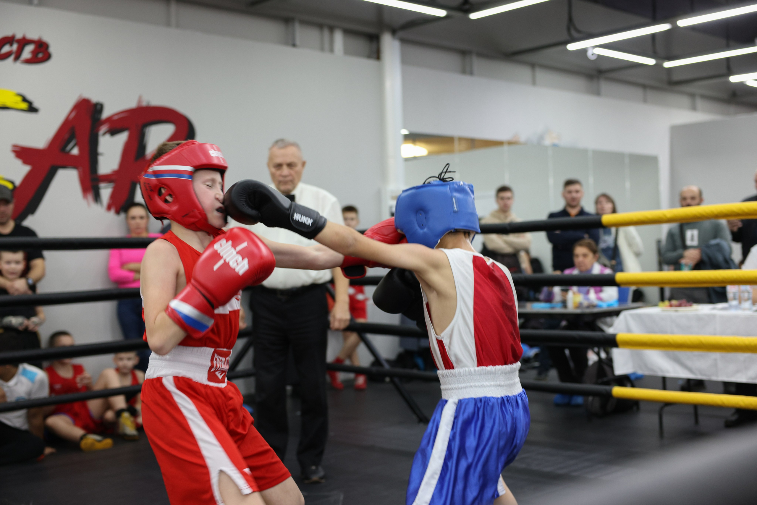 Открытый ринг «кубок ООО «ТЭК НеваСпецТяж». Фотограф Александр Заломаев