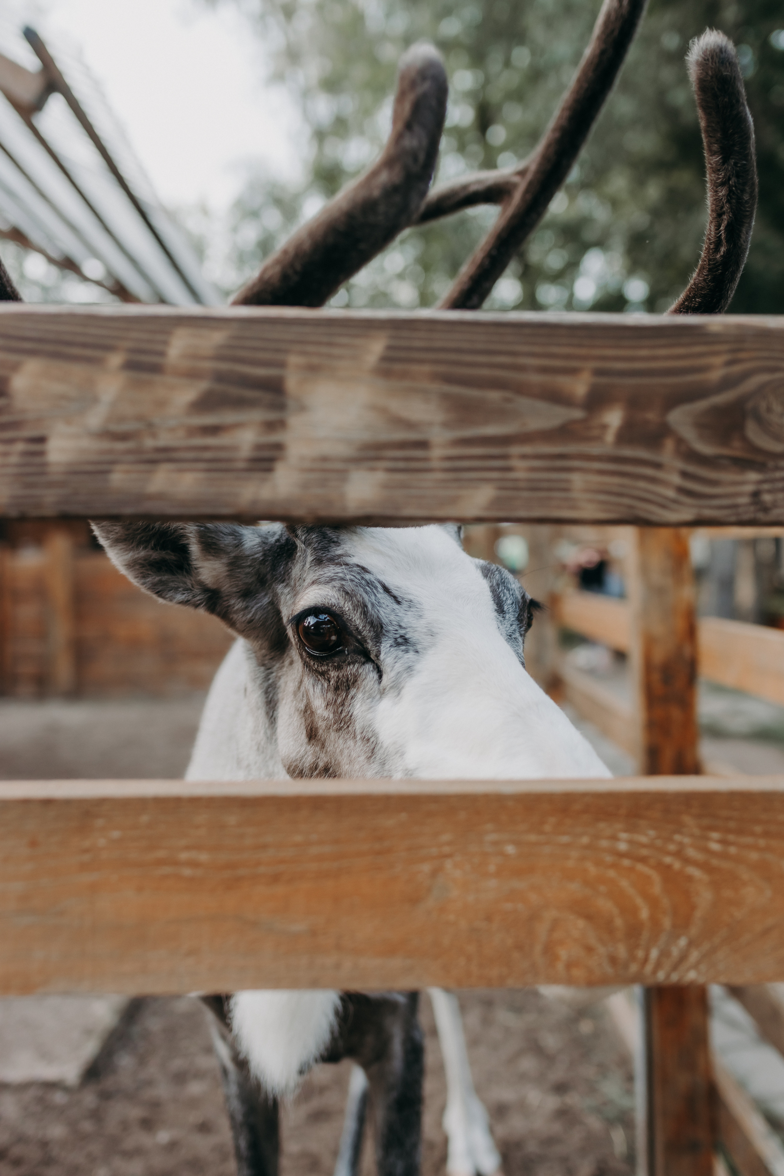 Анонс для Марины и Андрея. Анна Ларина — Lifestyle фотограф в Москве