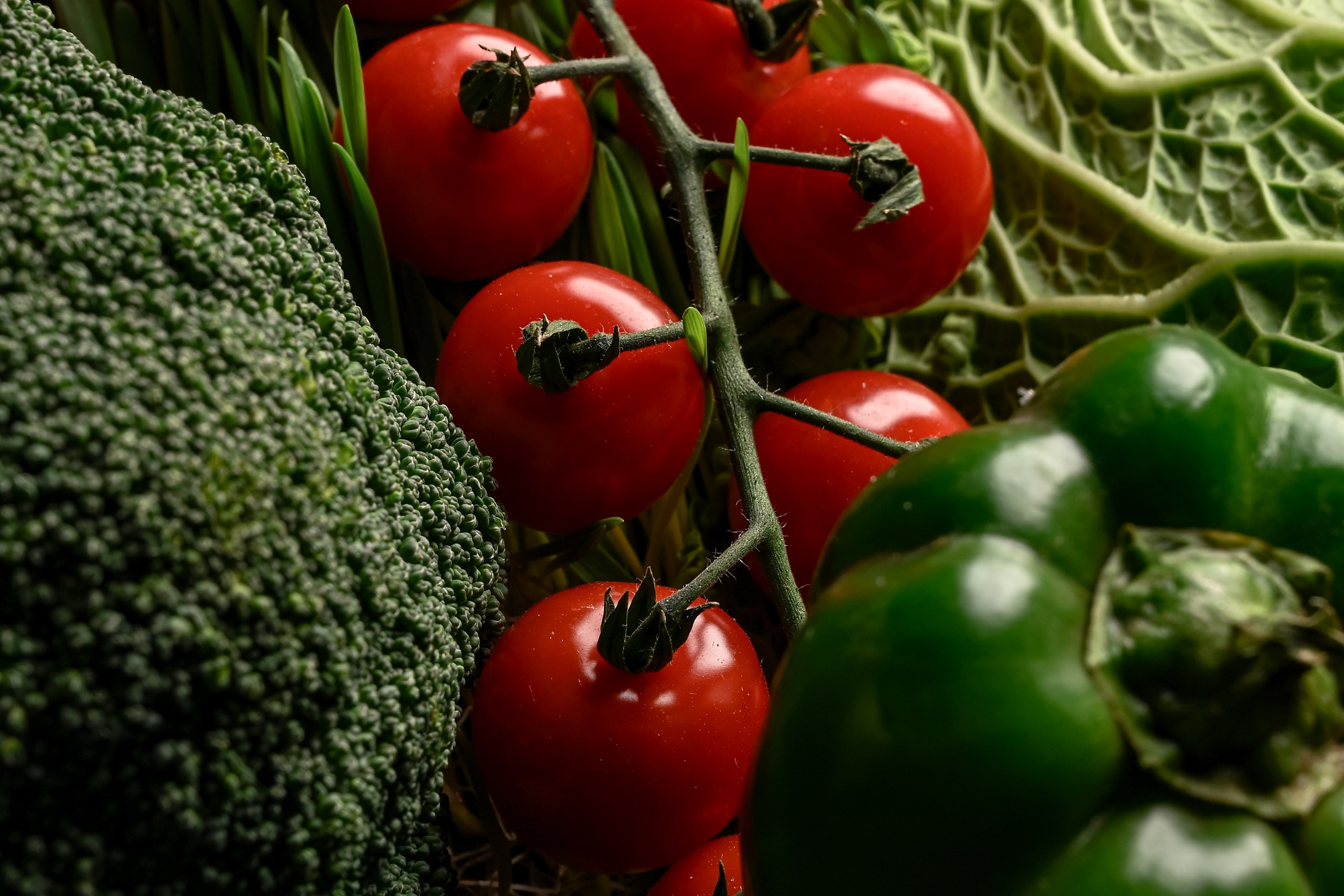 Food съемка. Портфолио