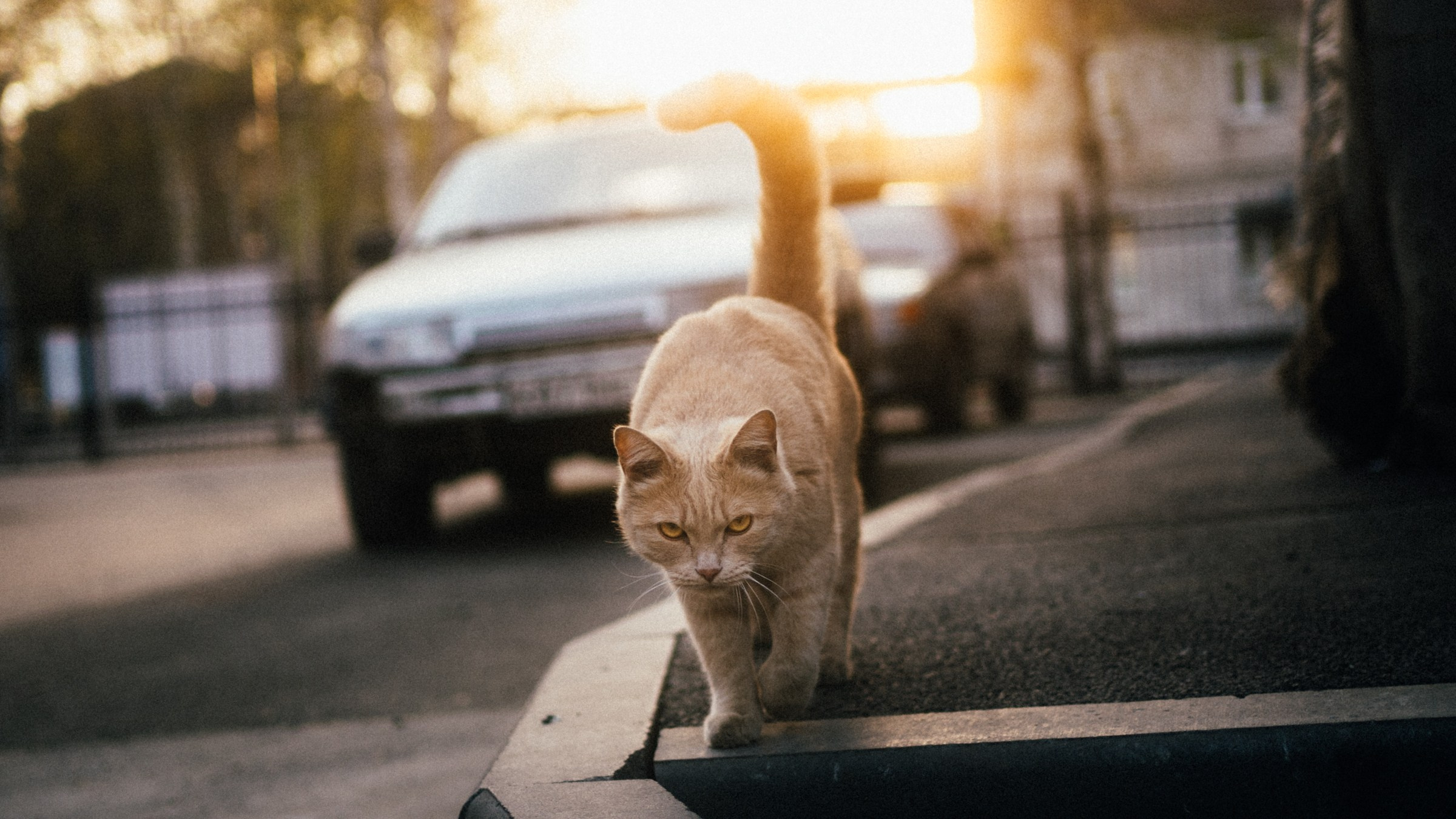 Стрит. Фотограф на любое событие в Кемерово