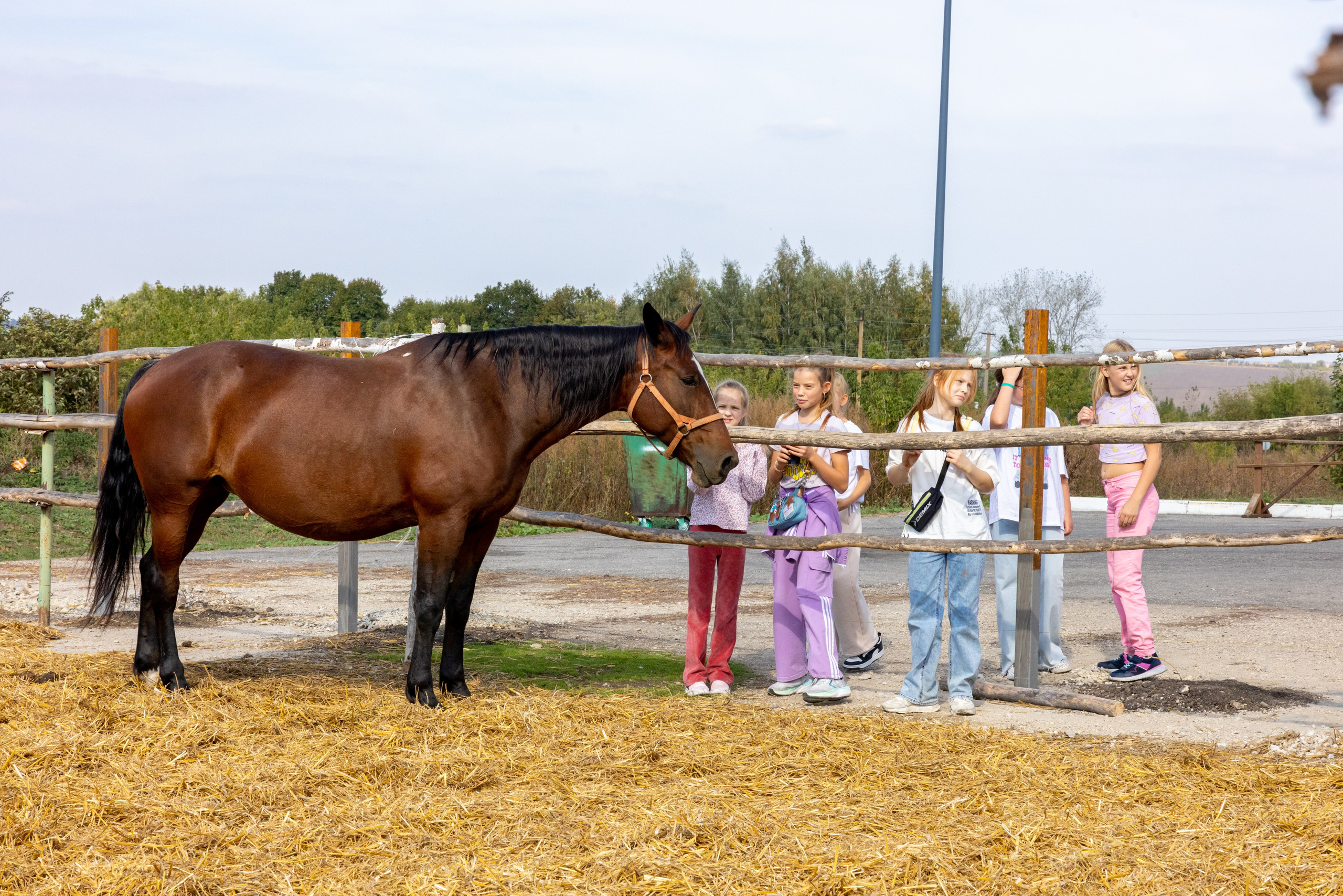 Поездка на поле Кулеково. Фотограф в Туле Крупский АнДРей. Фотостудия «КАДР71» в Туле
