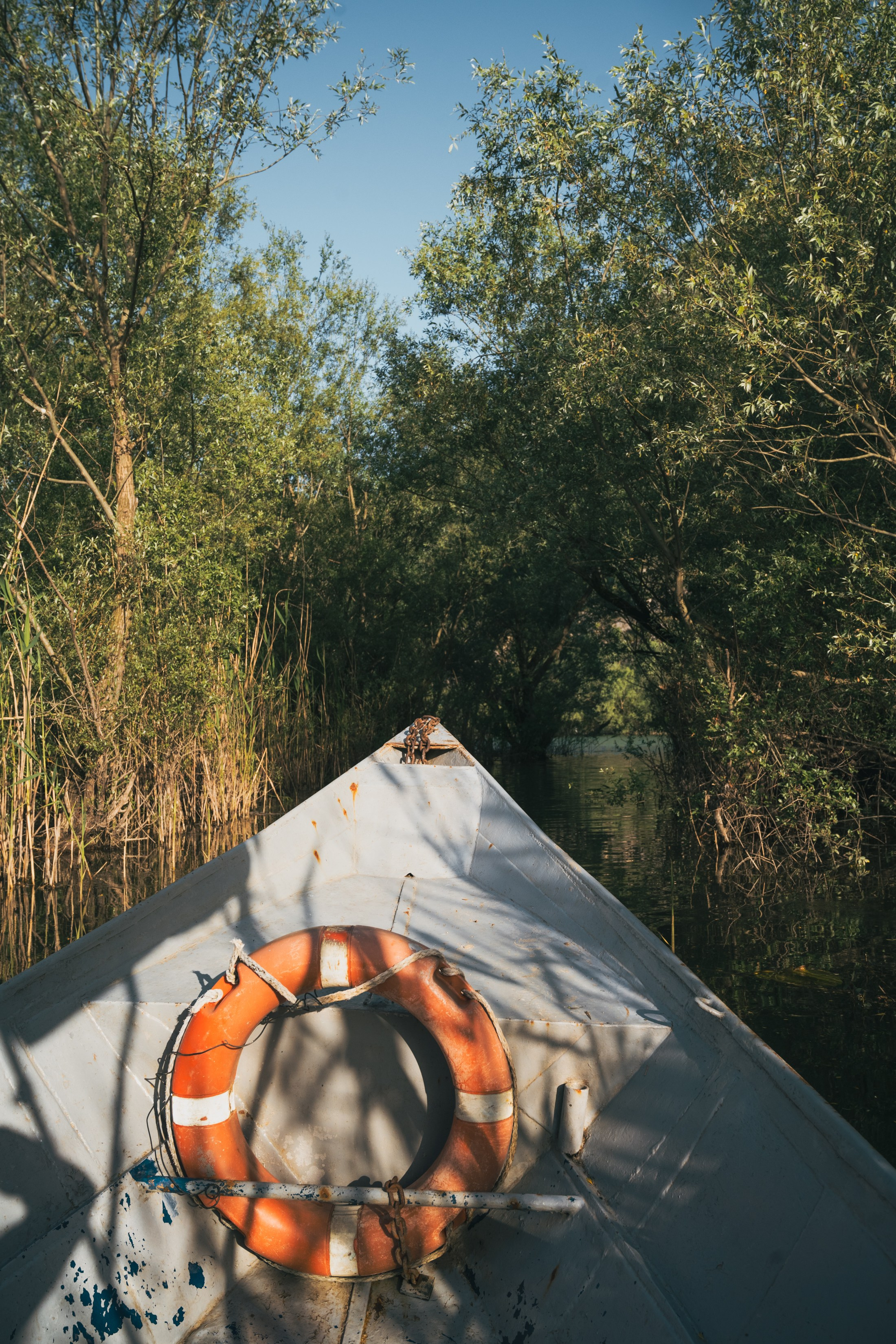 СКАДАРСКОЕ ОЗЕРО. ЧЕРНОГОРИЯ. Фотограф в Белграде Чугреева Елена