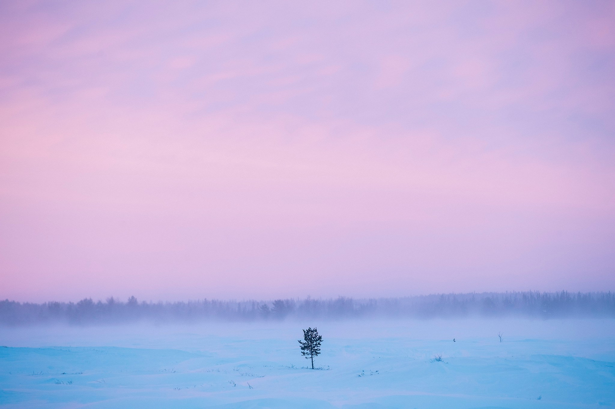 Кораль. На север к оленям. Репортажный фотограф в Сочи — Михаил Мордасов