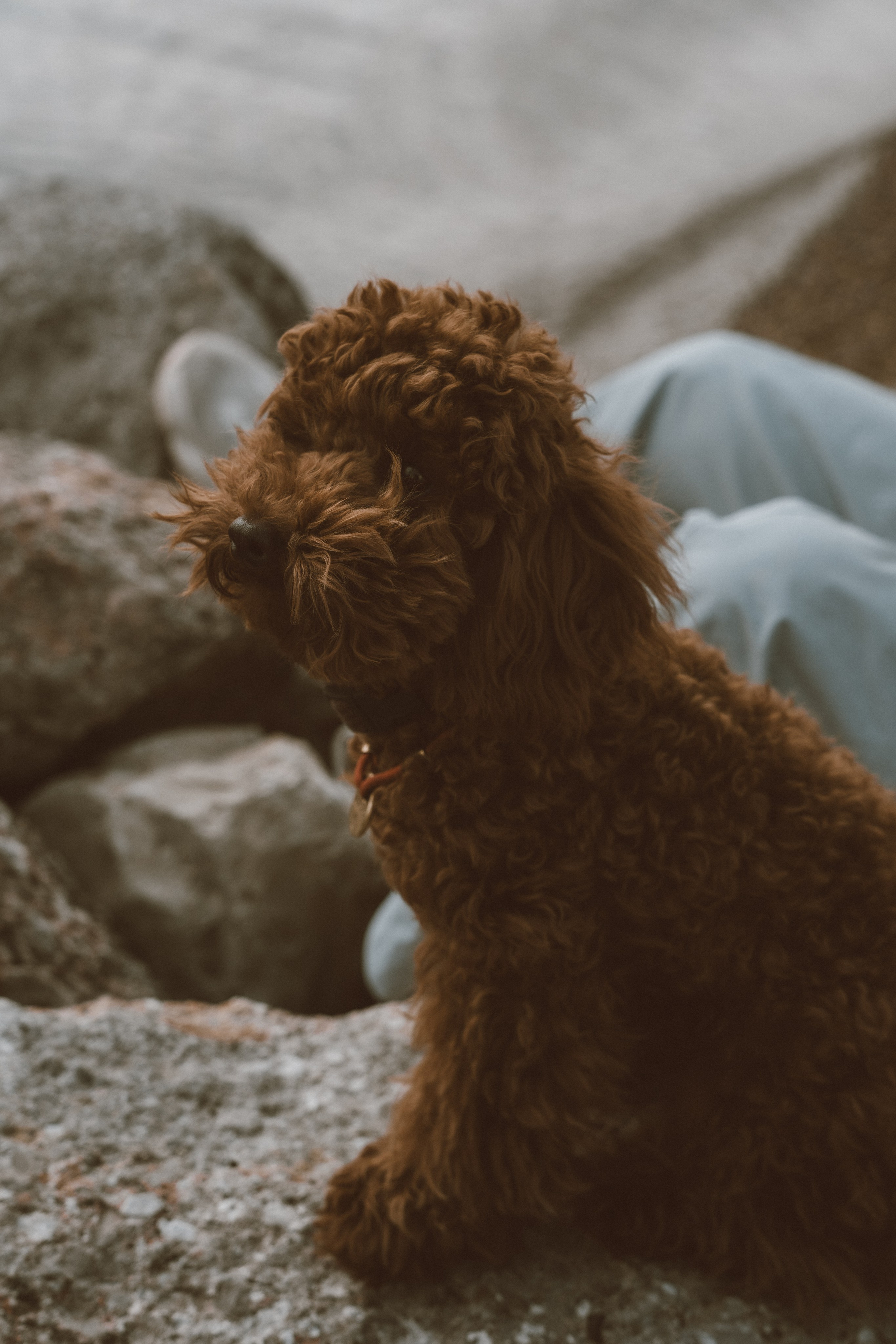 Аплас Анастасия