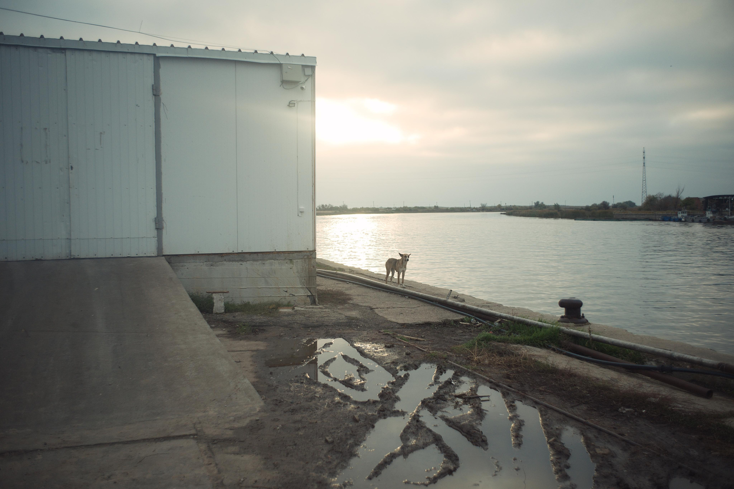 Fish Not Rising. Dmitry Ermakov. Documentary photographer