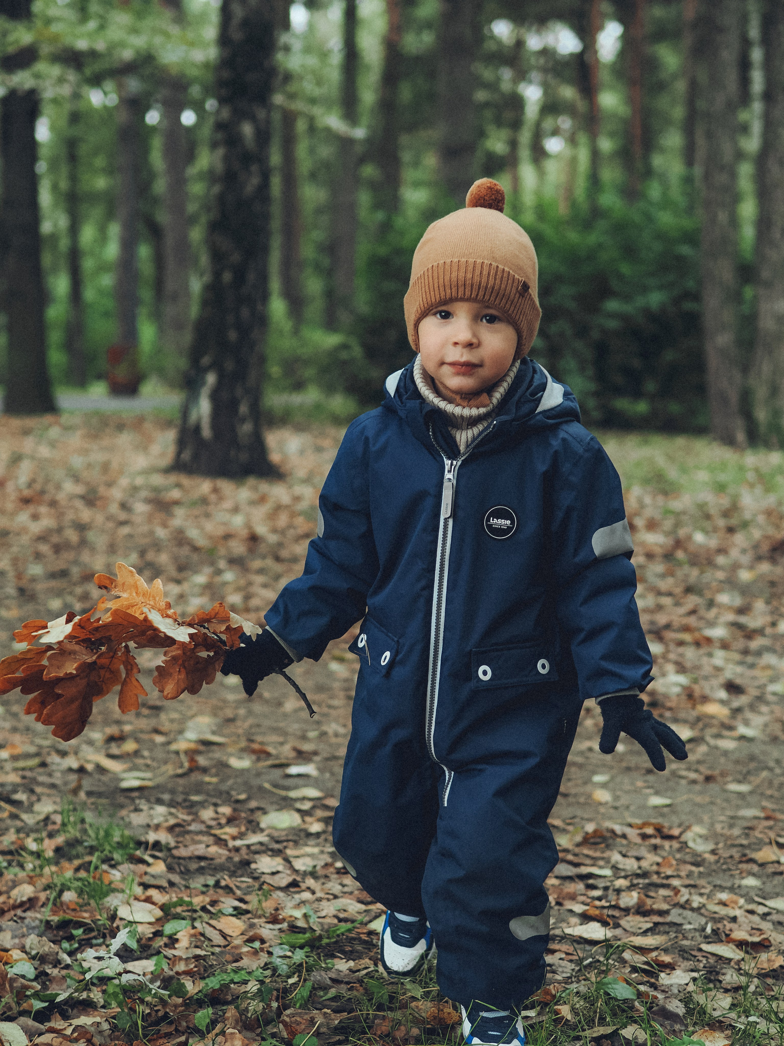 В поисках белки). Фотограф в Москве — Сергей Люкшинов