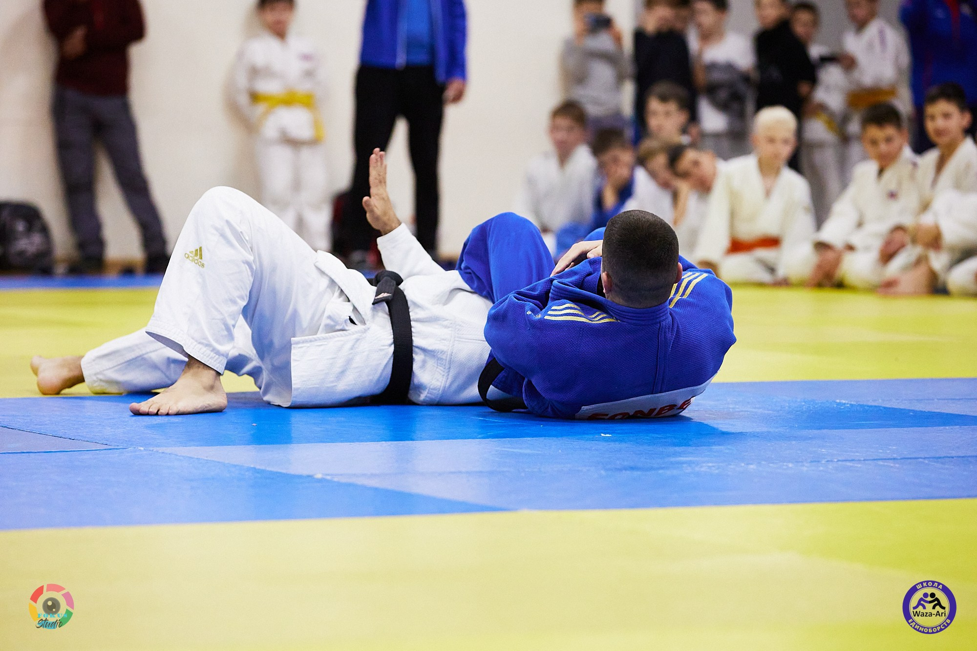 Репортаж Турнир по дзюдо. Спортивный фотограф Некрасов Денис