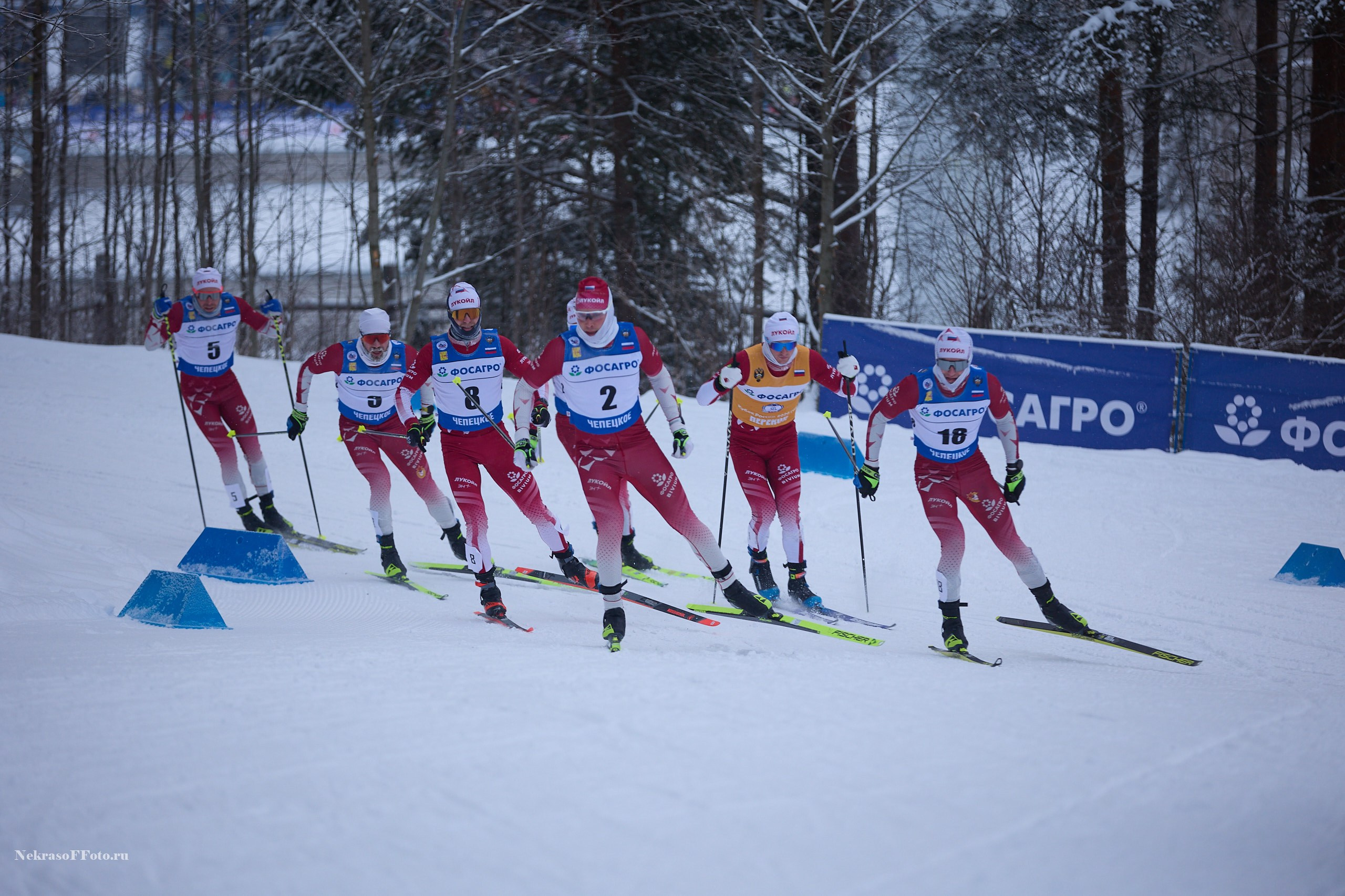 Кубок России по Лыжным гонкам. Спортивный фотограф Некрасов Денис