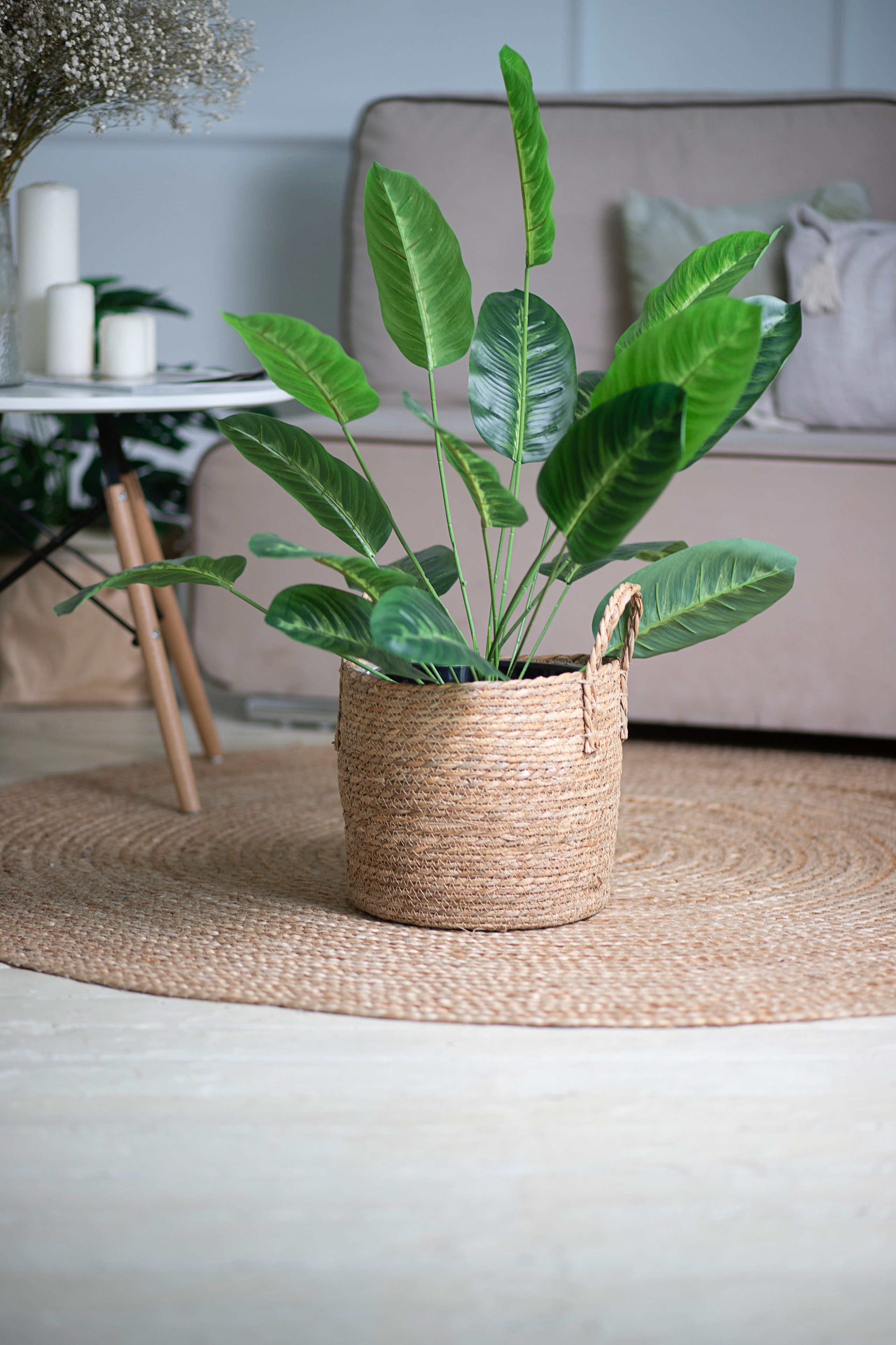 Маркетплейс. Фотограф Пушкино и Москва Анастасия Коган