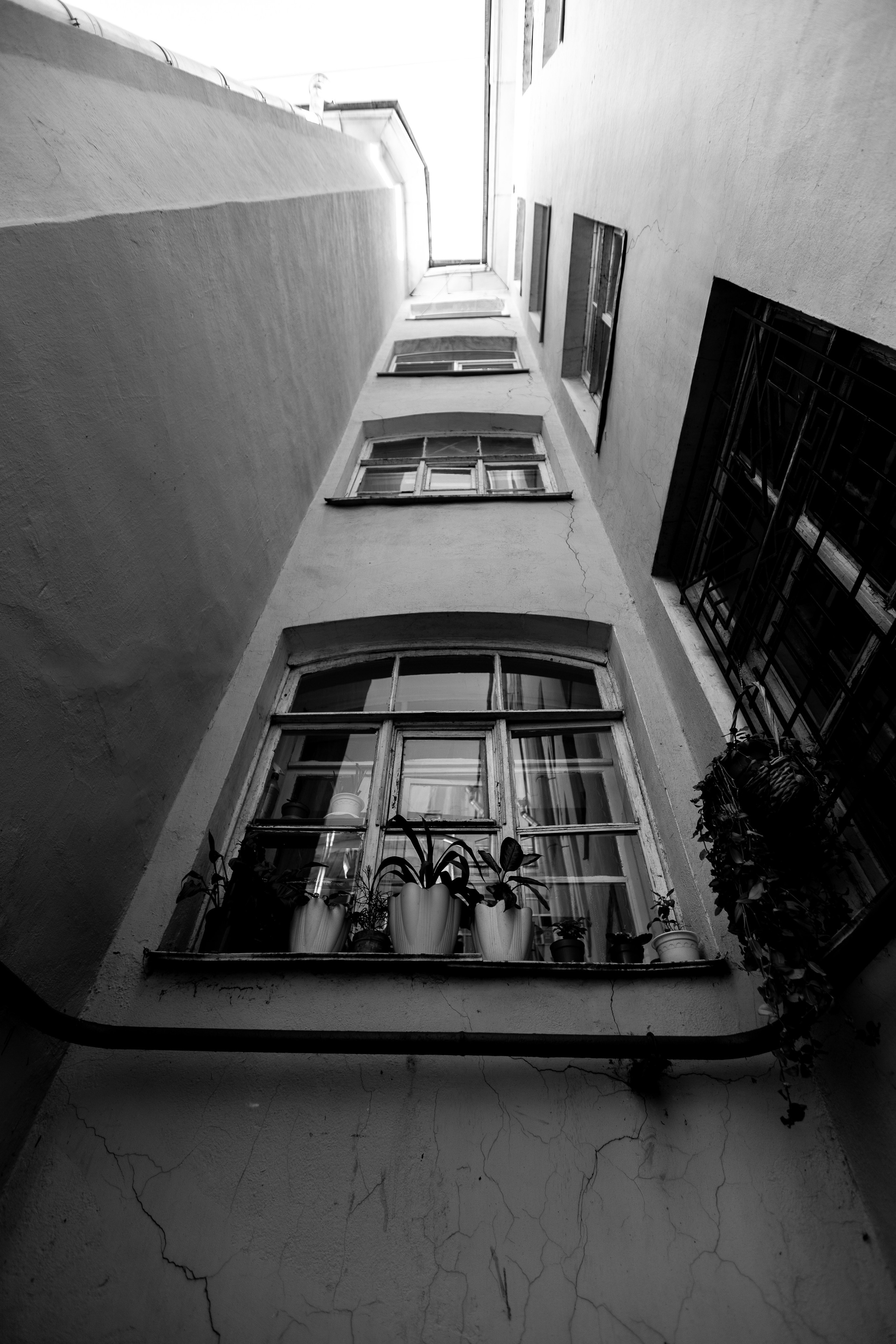 ЧЕРНО-БЕЛЫЕ ФОТОГРАФИИ. Никита Аничкин фото и видео оператор из России