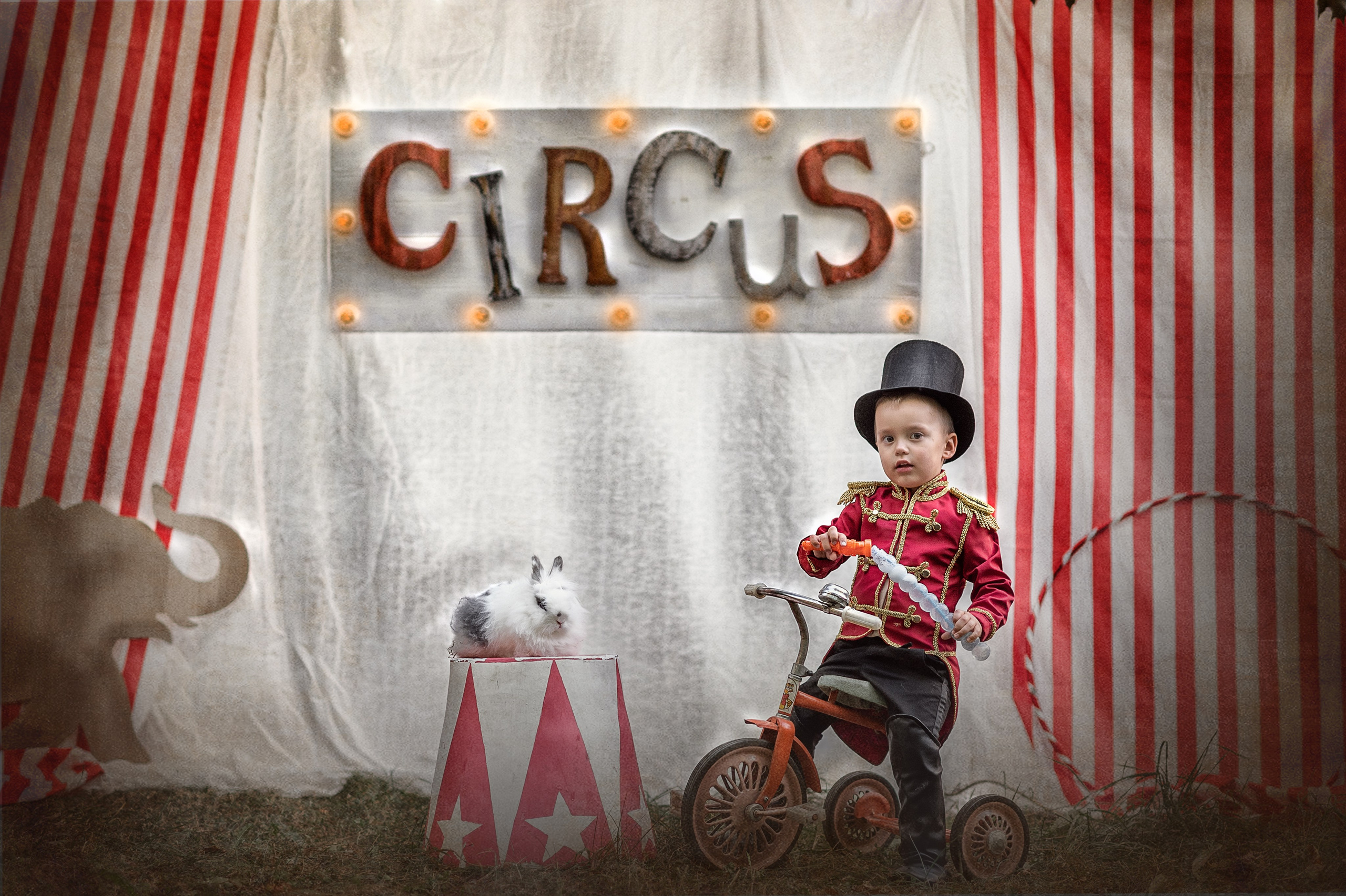 ЦИРК. Семейный фотограф Екатеринбург Лора Мур