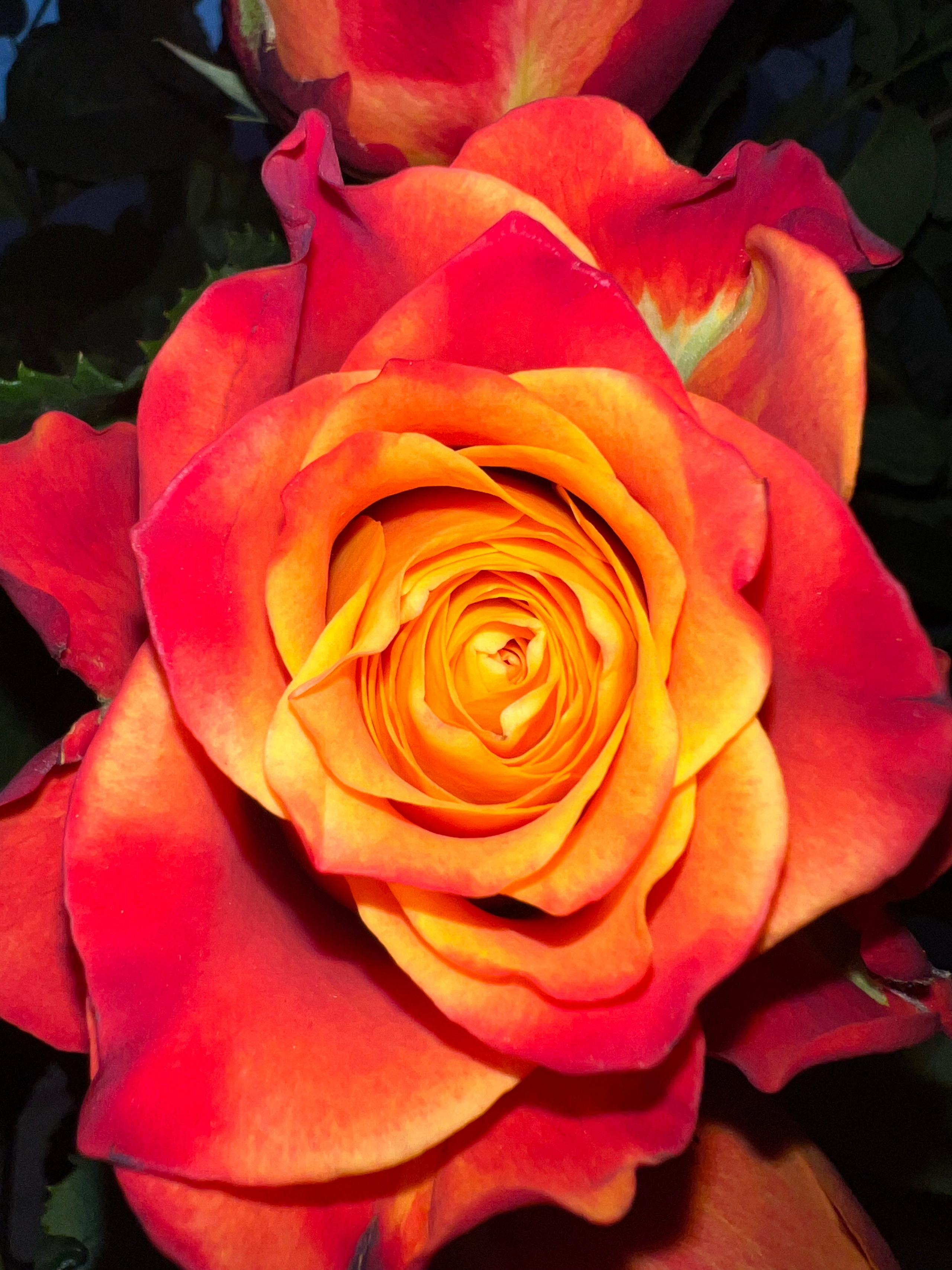 Fragments. Artem Khusainov