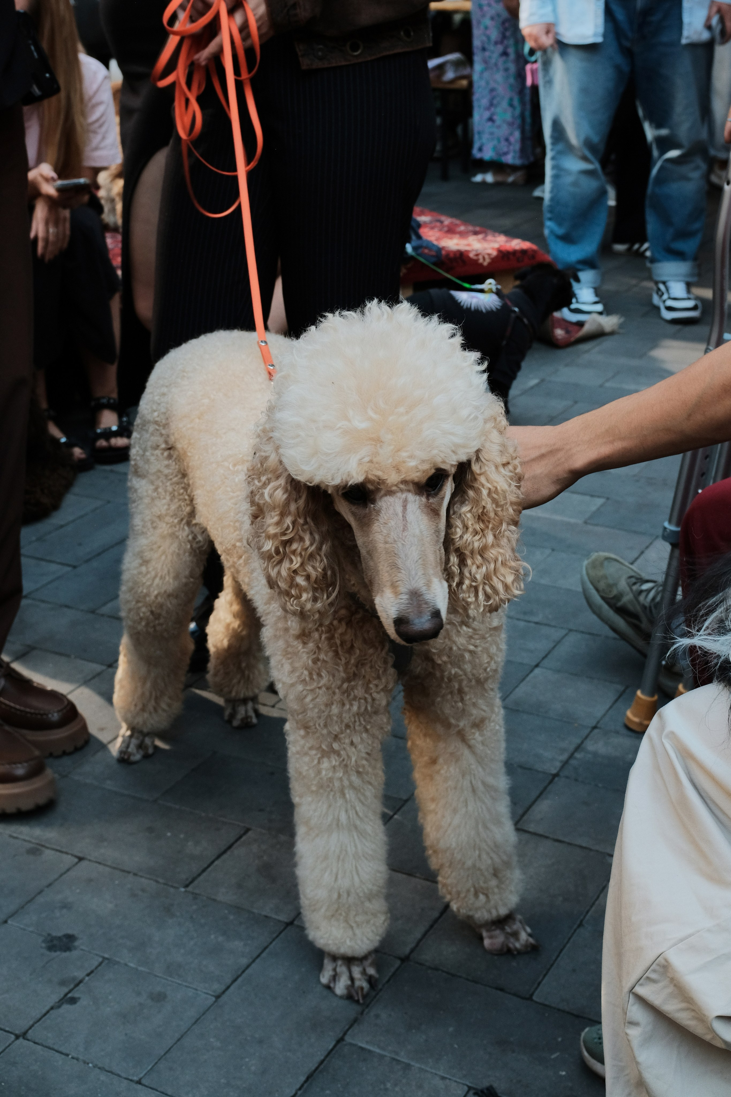 Rostov-on-Don. Creative travel photographer — Berg Daria