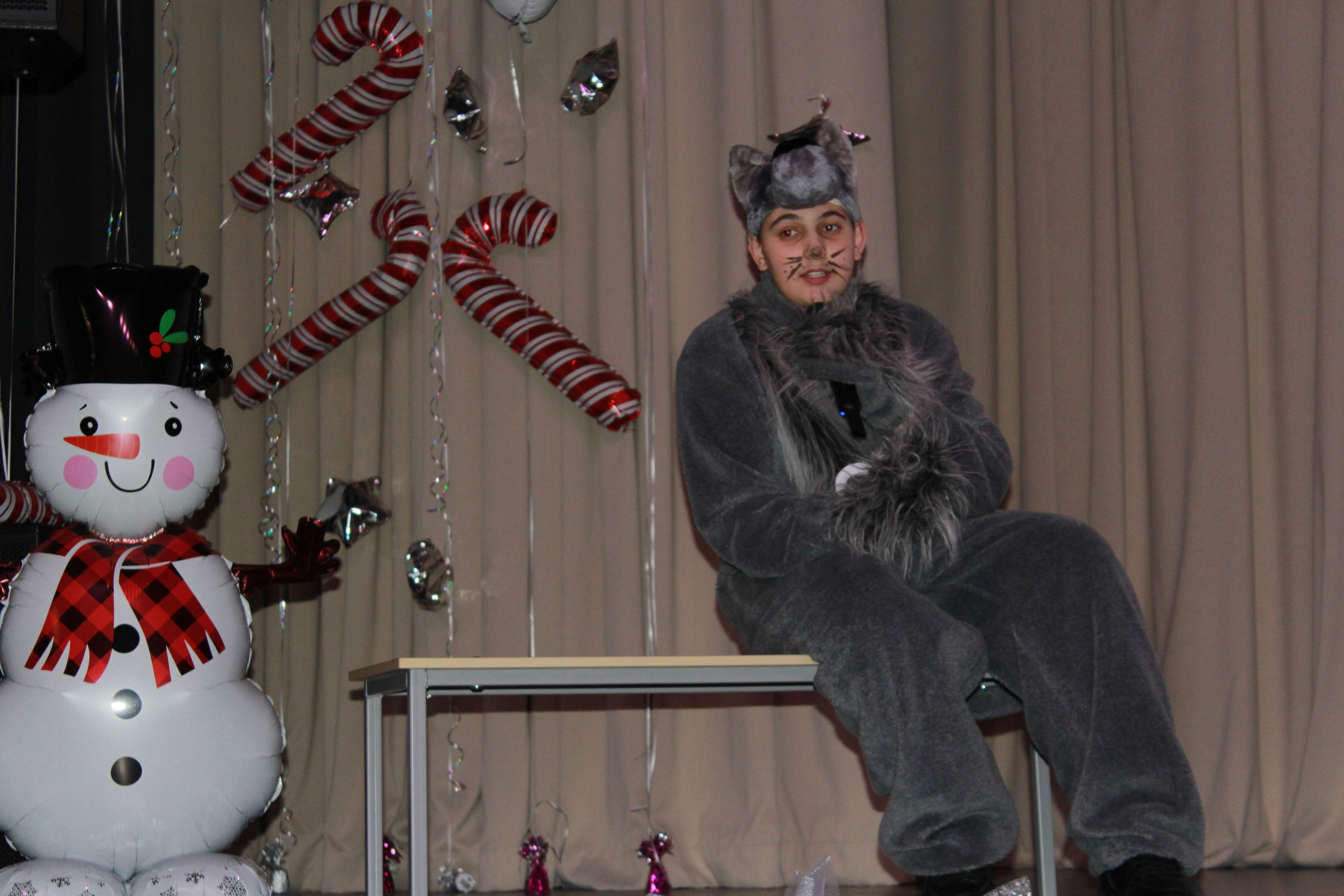 Праздники, мероприятия (Новогодний карнавал 2024-2025). Портфолио