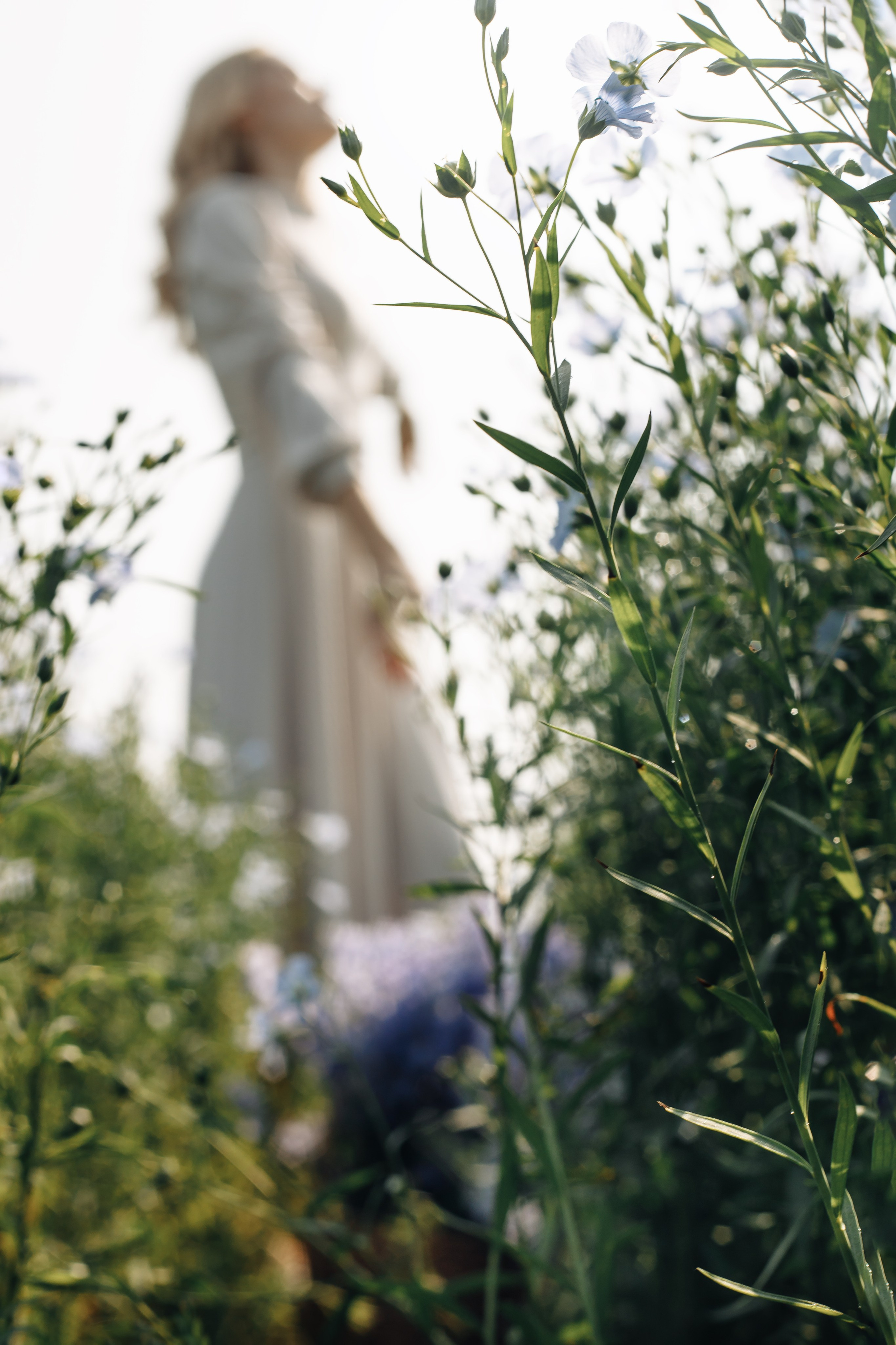 Фотосессия в поле льна. Свадебный и семейный фотограф в Краснодарском крае Мария Данилкина