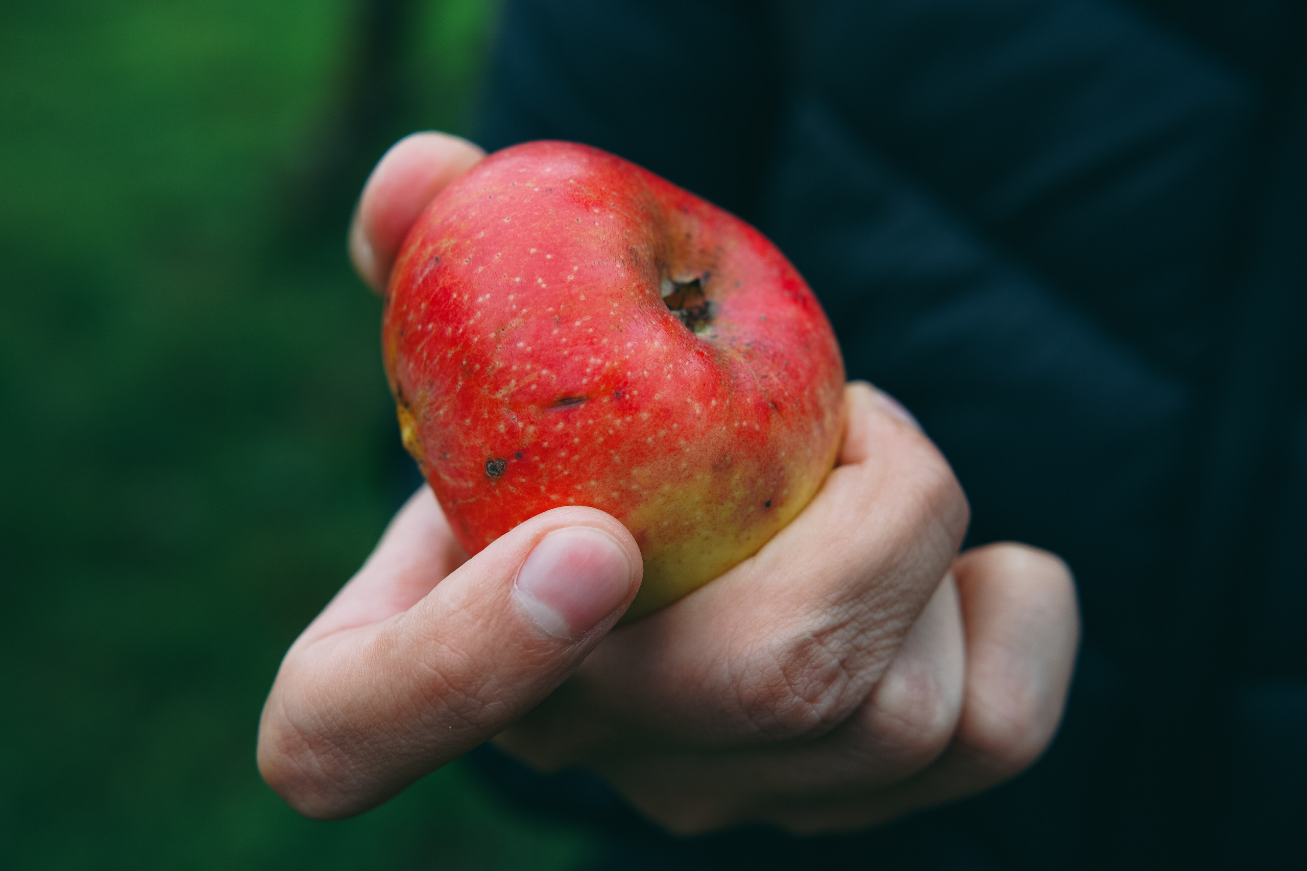 Осень 2025. Фотограф из Москвы — DASHA NOVA | Авторская фотография в разных жанрах
