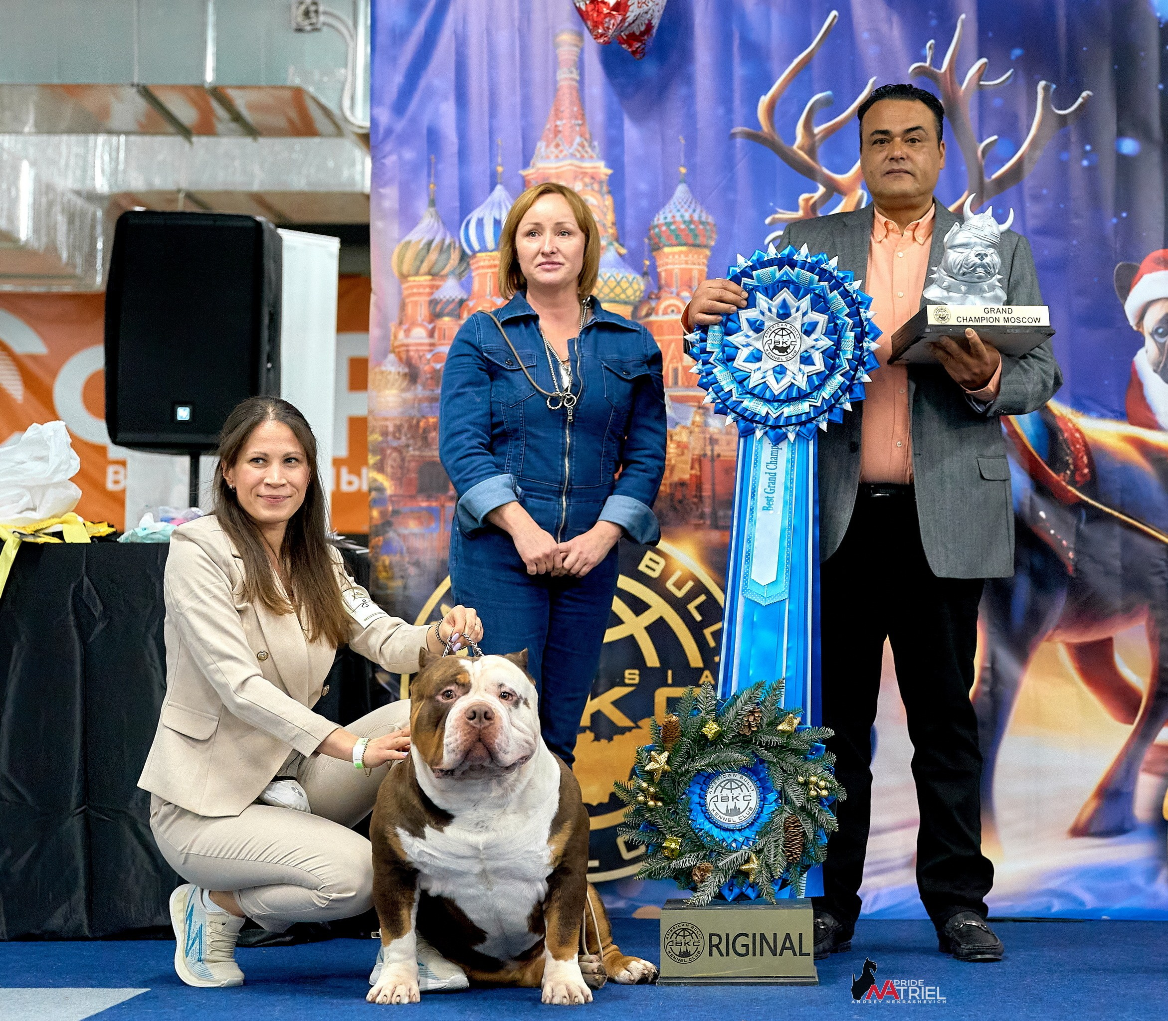 Съемка на выставке БуллиШоу