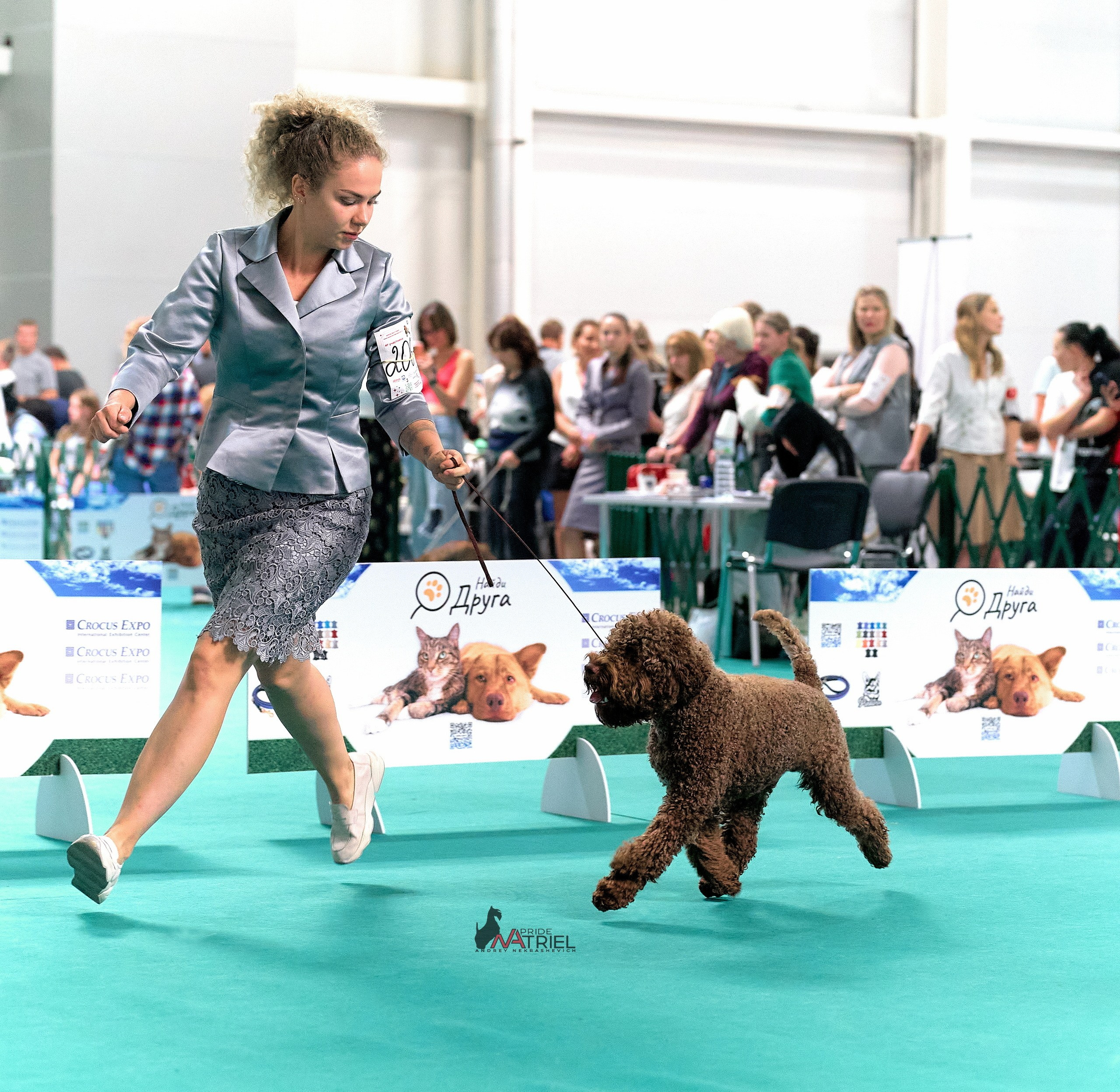 Работа в рингах — галерея NATRIEL