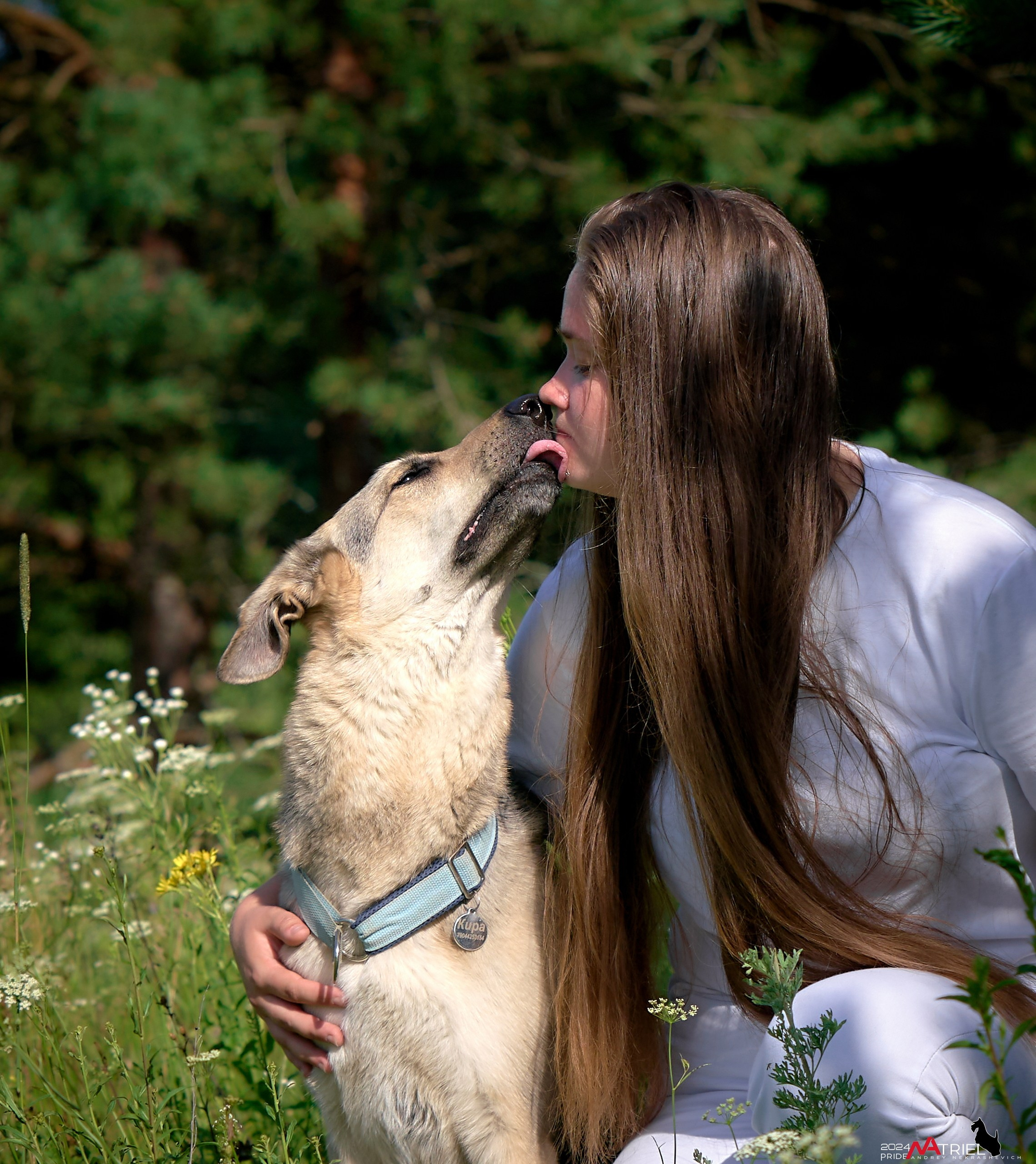 Репортаж из кинологического лагеря