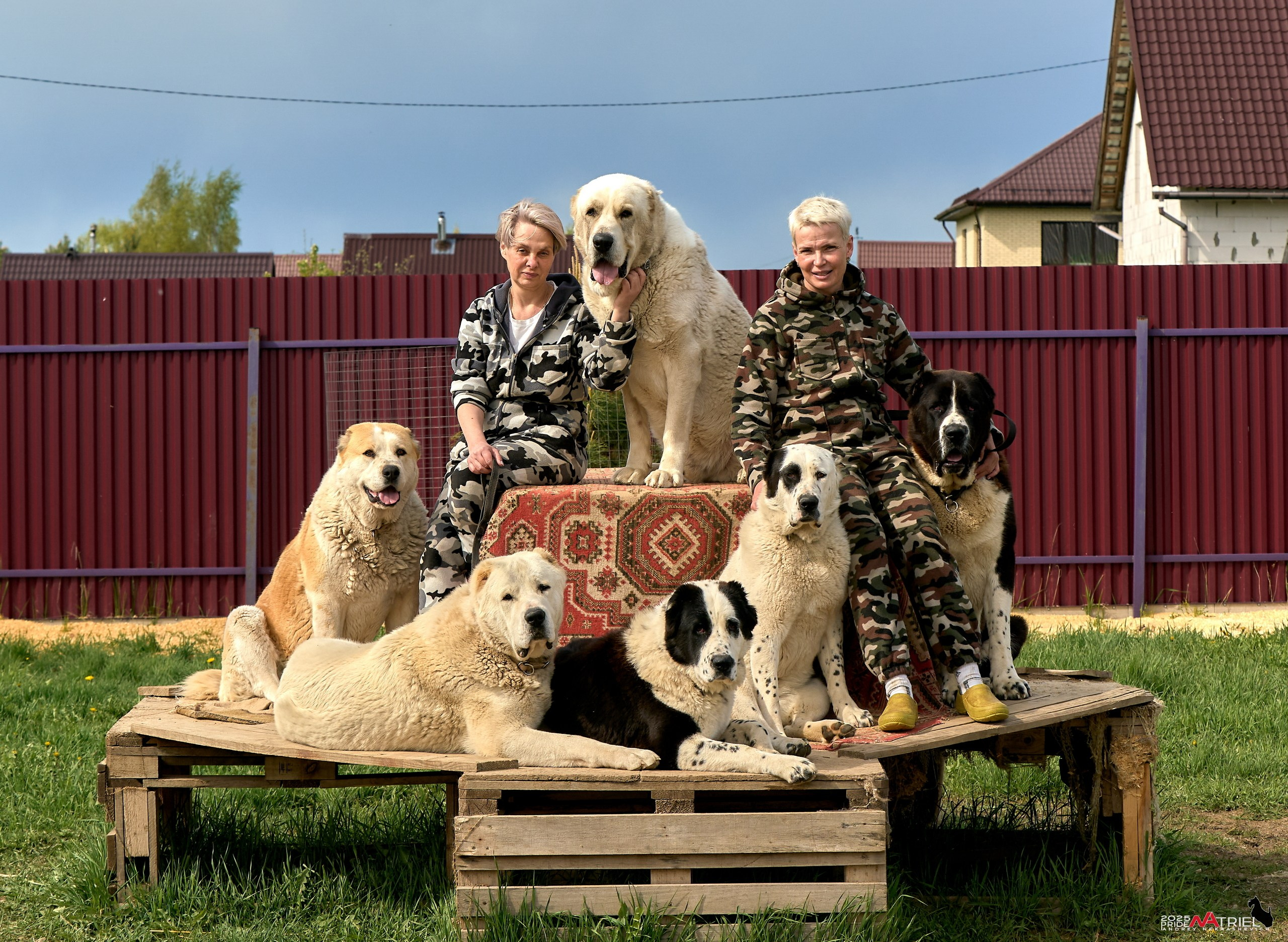 Съемка в питомнике