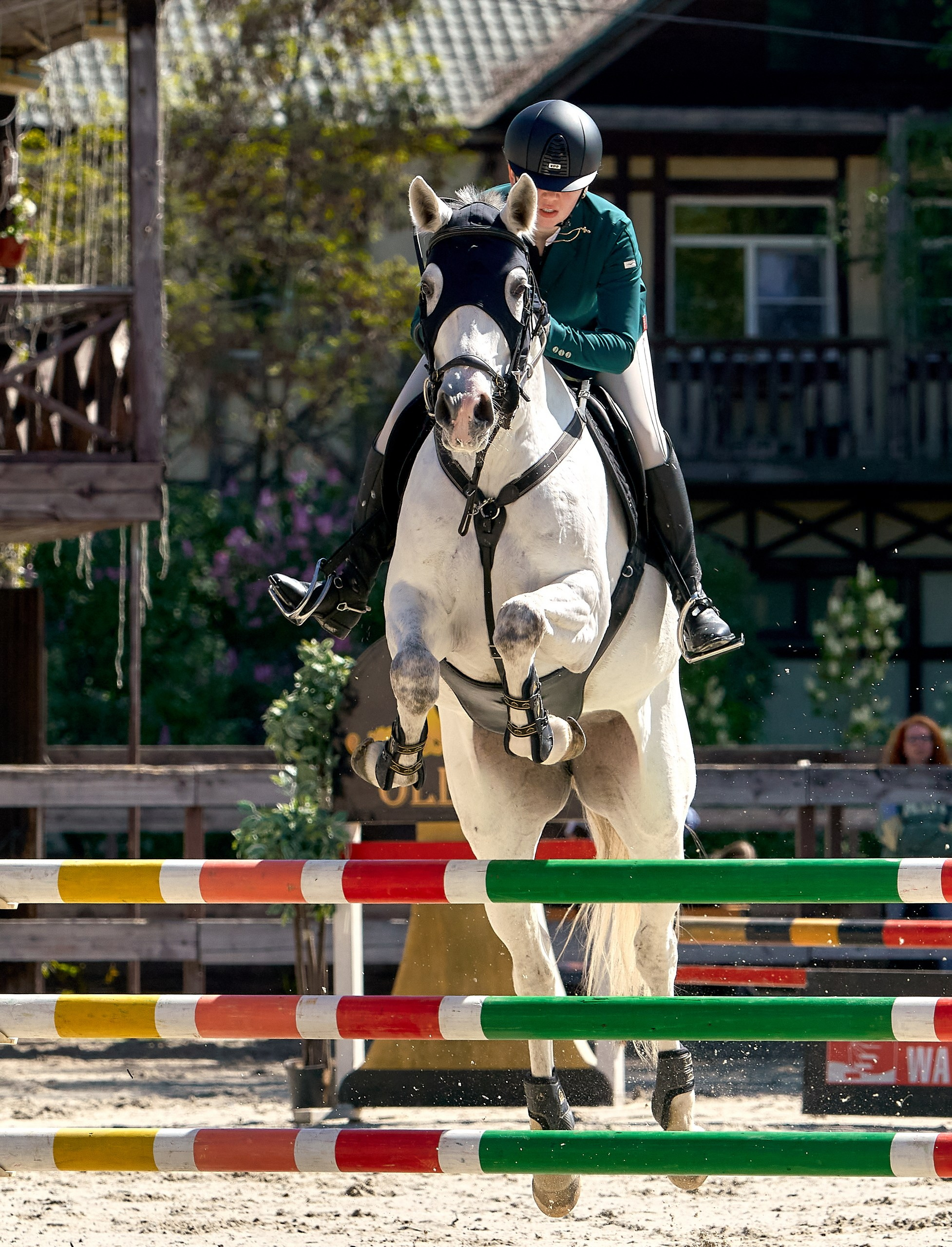 Соревнования на лошадях — галерея NATRIEL