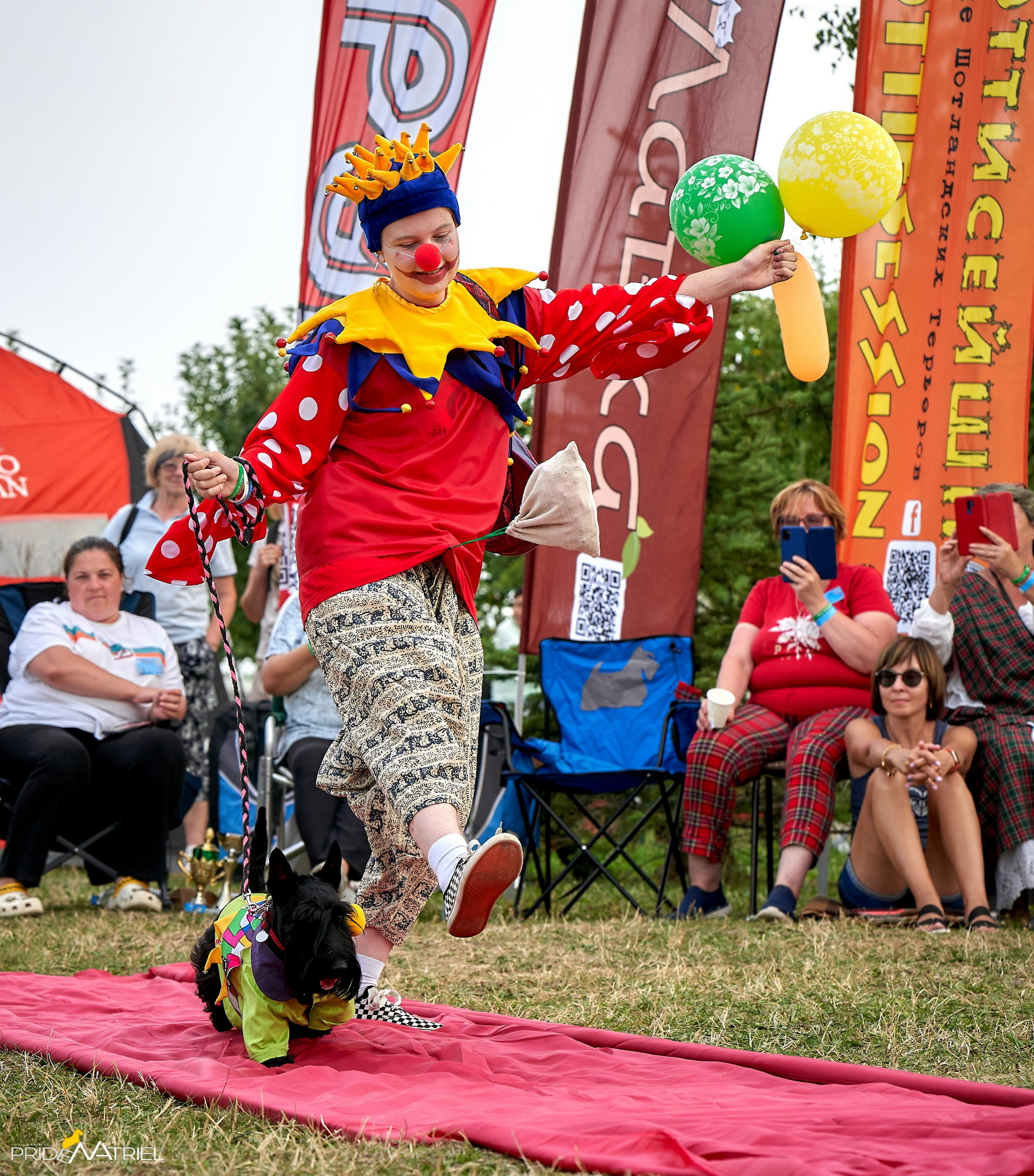 Мероприятия с собаками — галерея NATRIEL