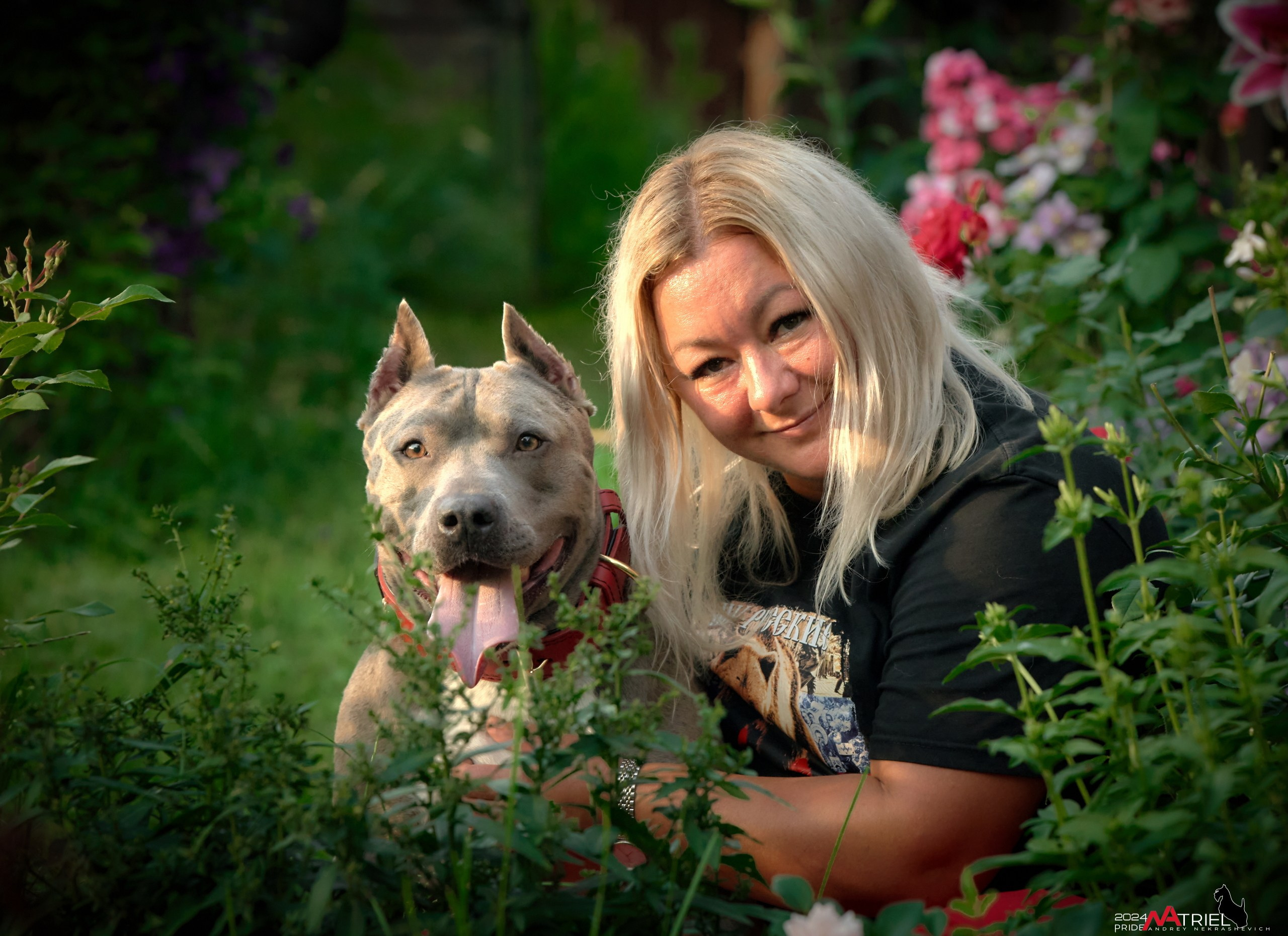 Съемка собак с выездом к Вам в дом