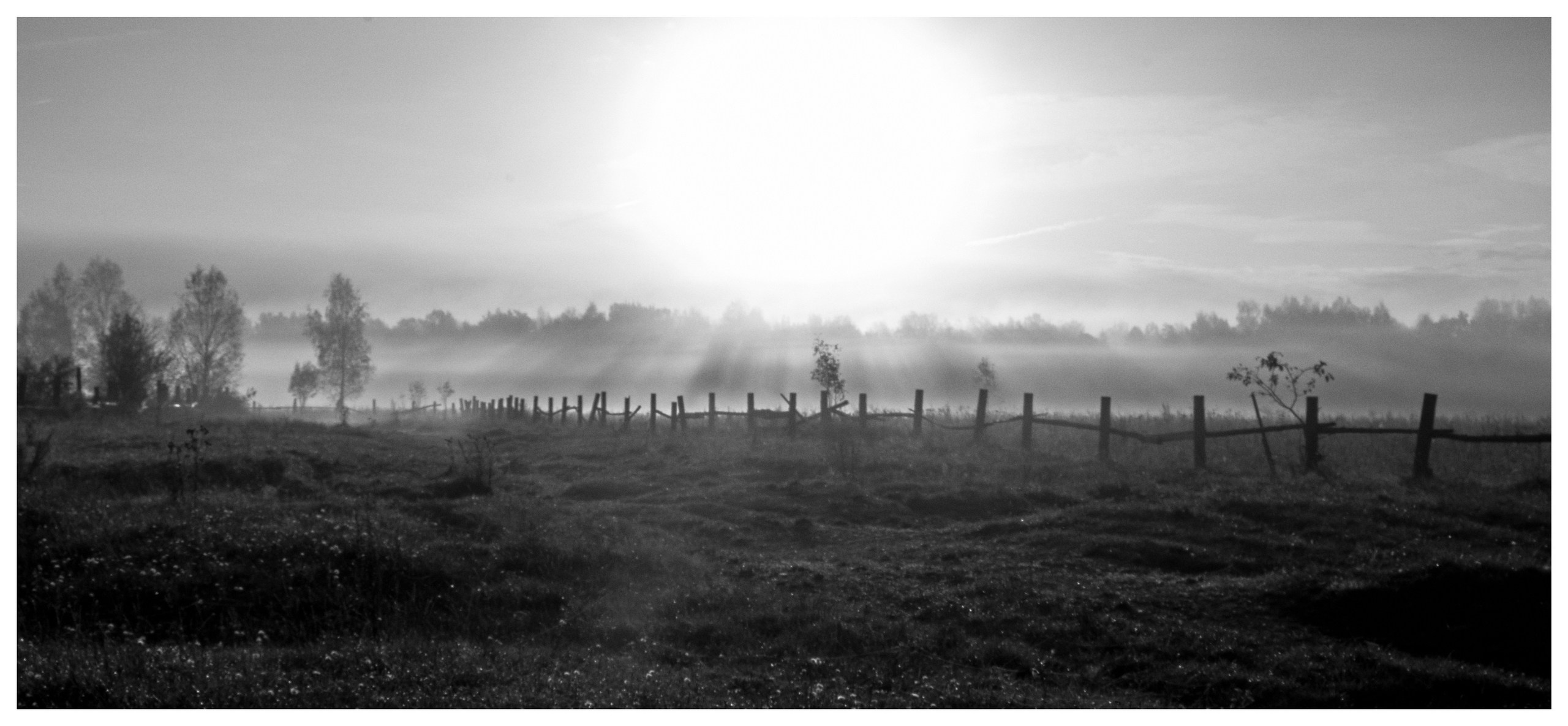 Пейзаж — галерея NATRIEL