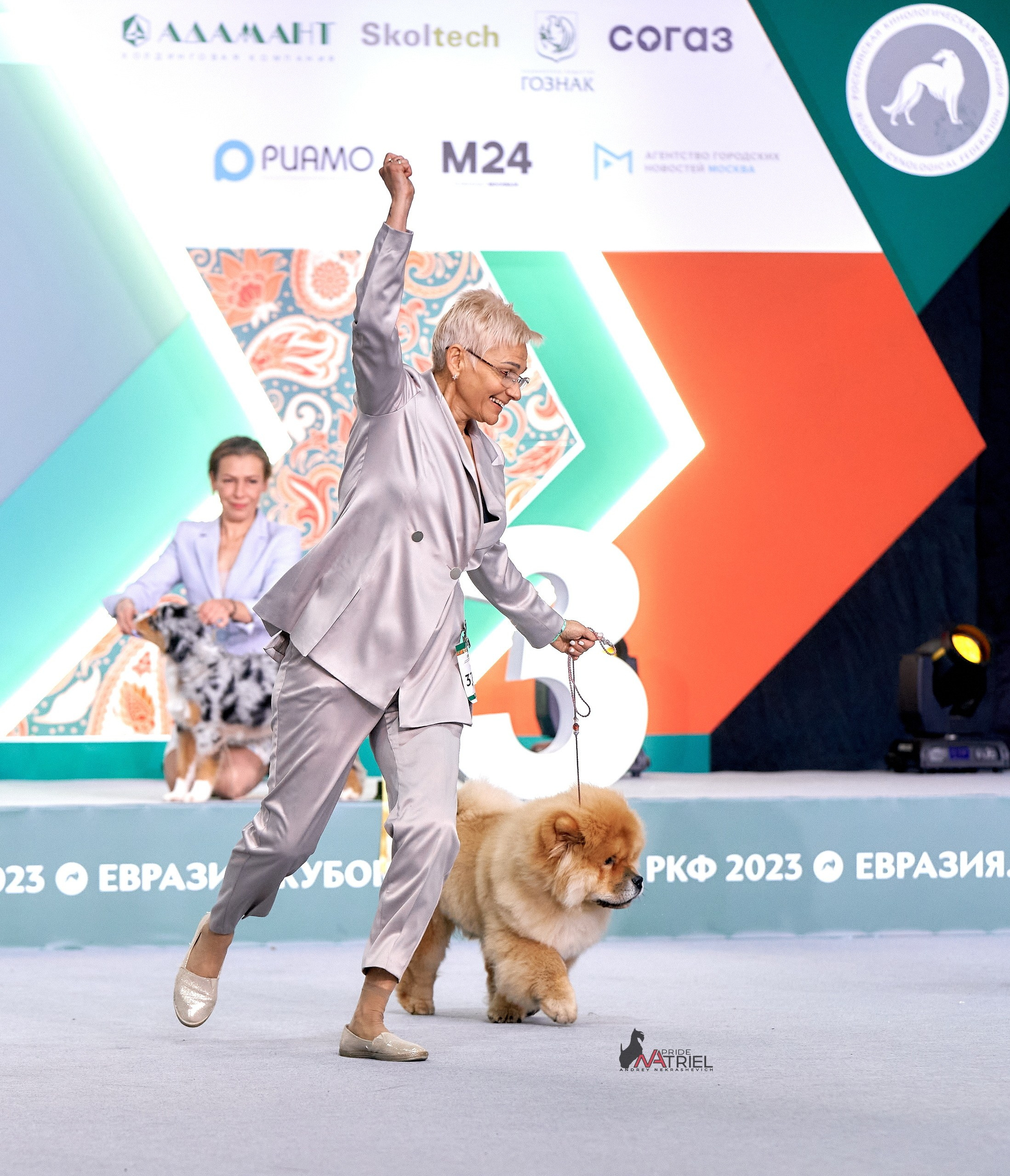 Призовые места — галерея NATRIEL