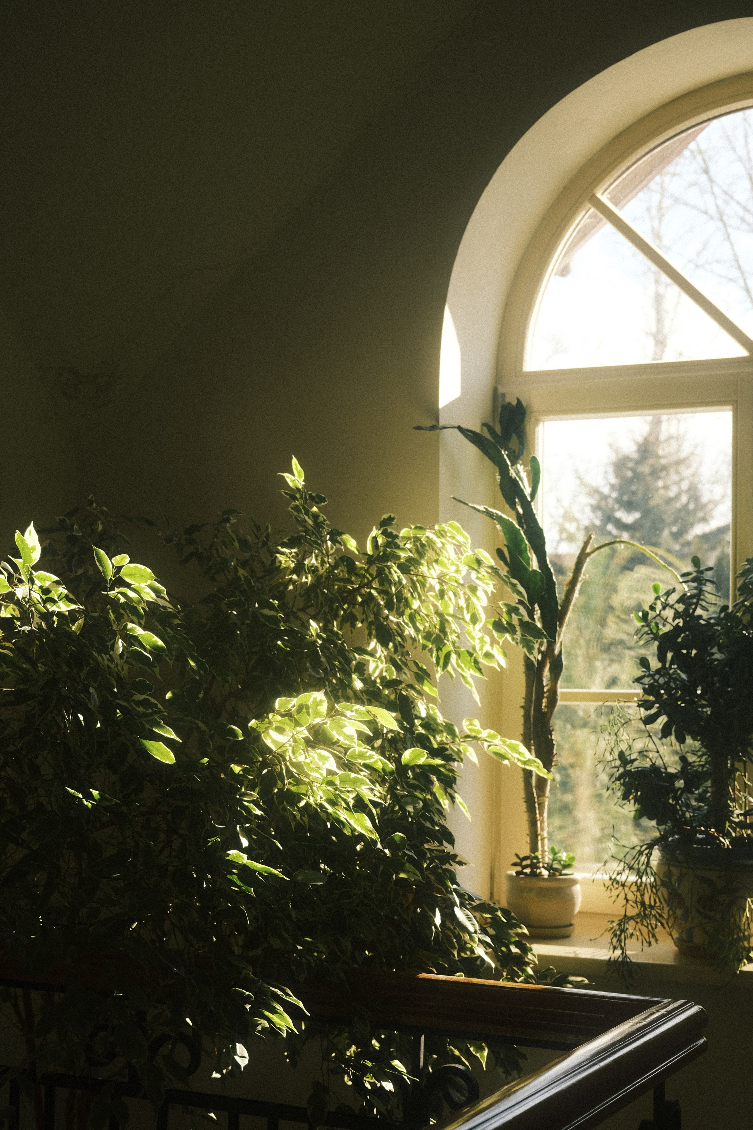 Nowhere and Everywhere. Портретный фотограф