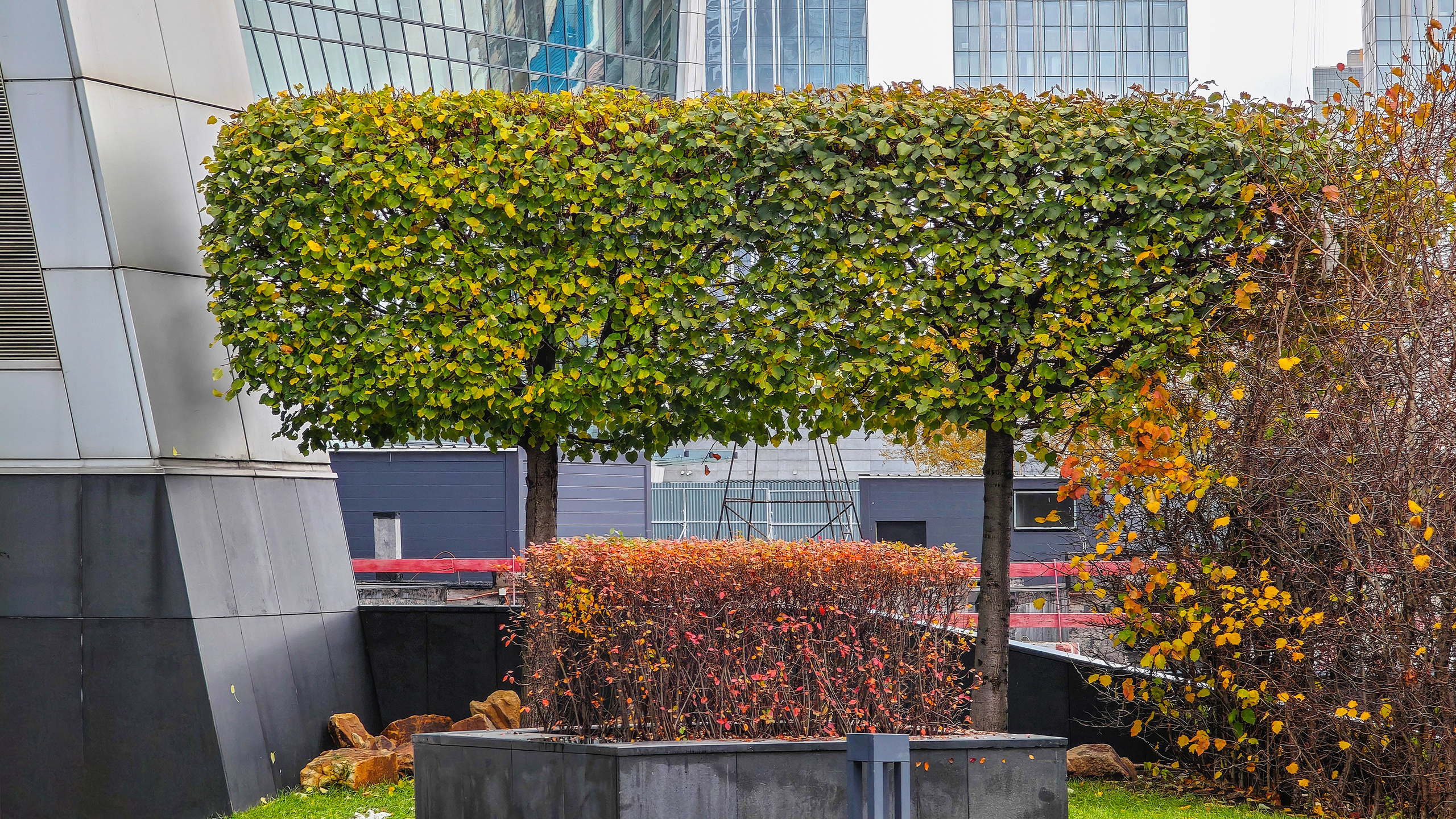Общественные пространства. Ландшафтный фотограф Андрей Лысиков, Москва