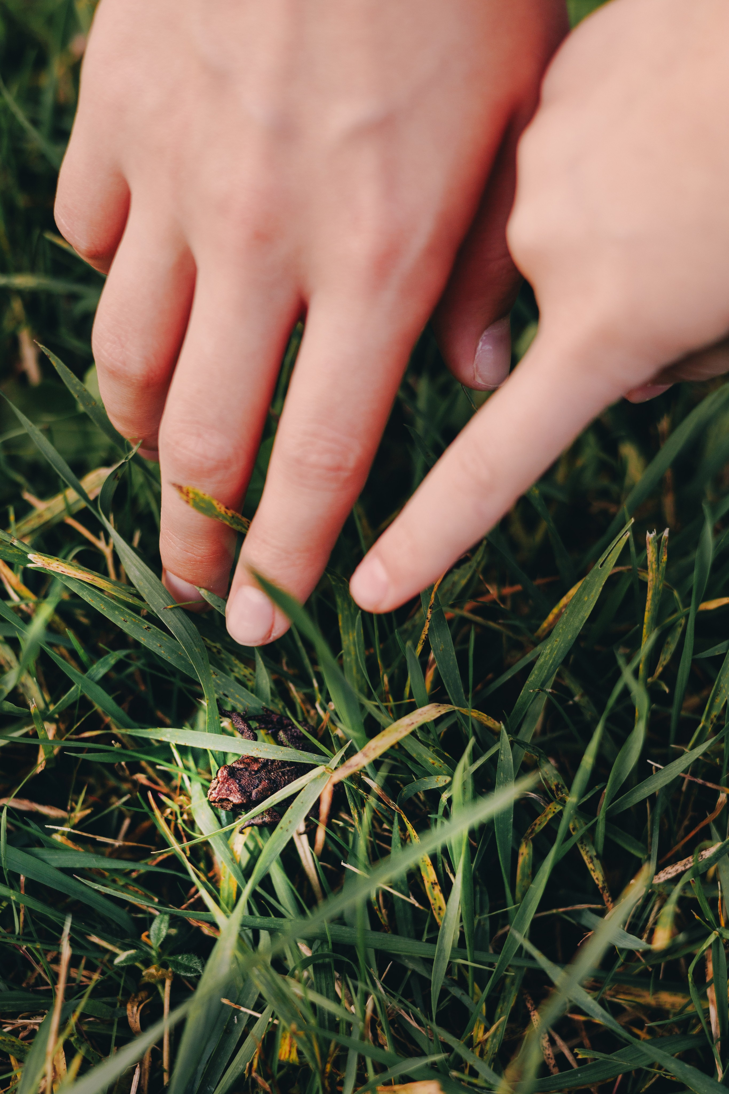 Детский семейный фотограф. Детский и семейный фотограф  Биробиджан Оля Светагор