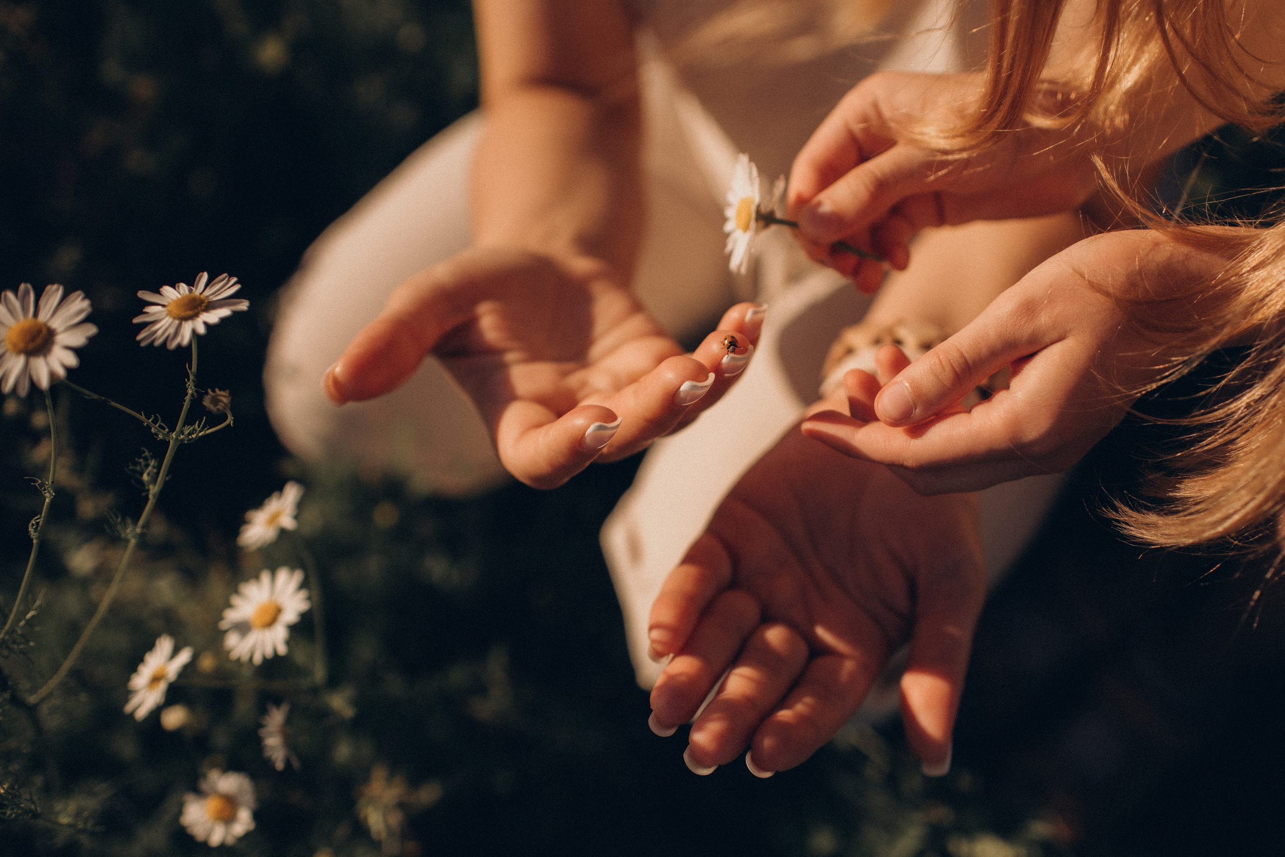 Семейные фотосессии. Фотограф Алиса Чечина. Калуга. Товарково