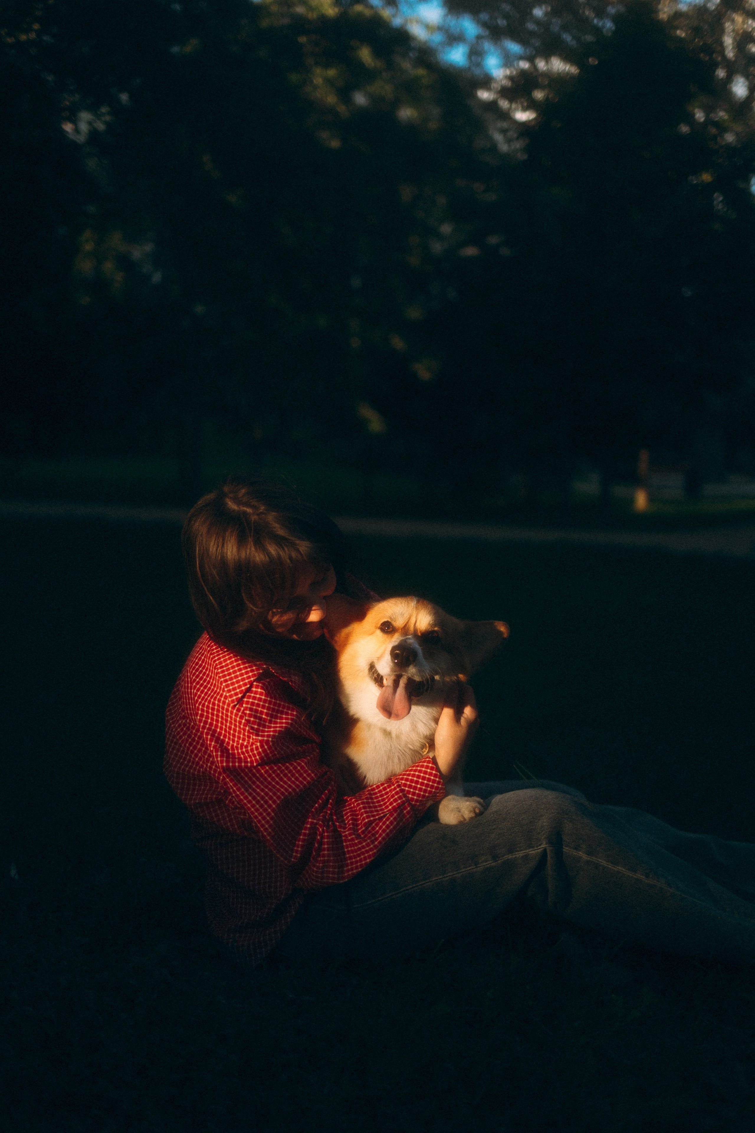 Момо, Люда и Эд. Фотограф анималист Анастасия Пикей