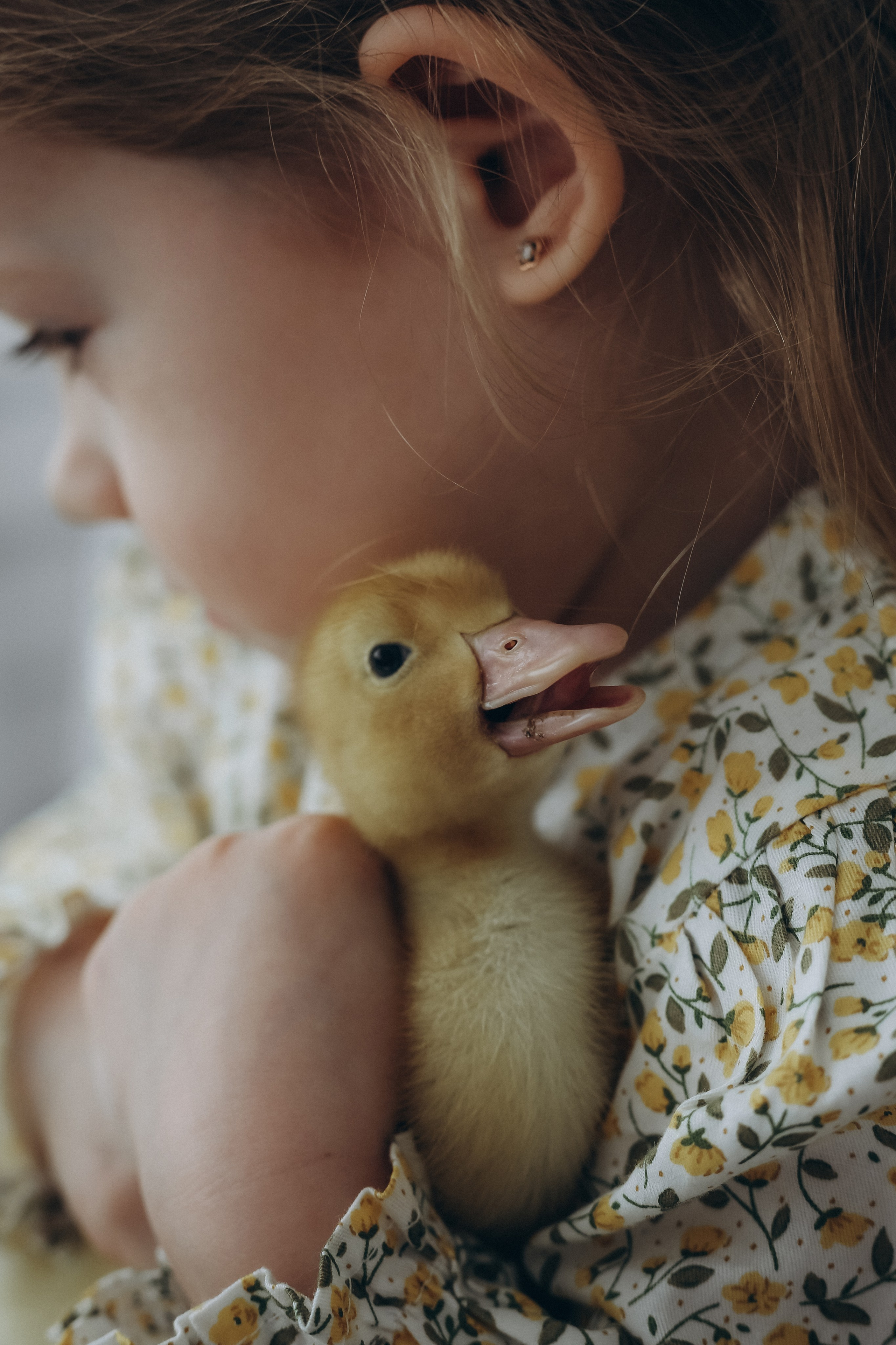 🐣Пасхальный фотопроект🐣. First-foto.ru