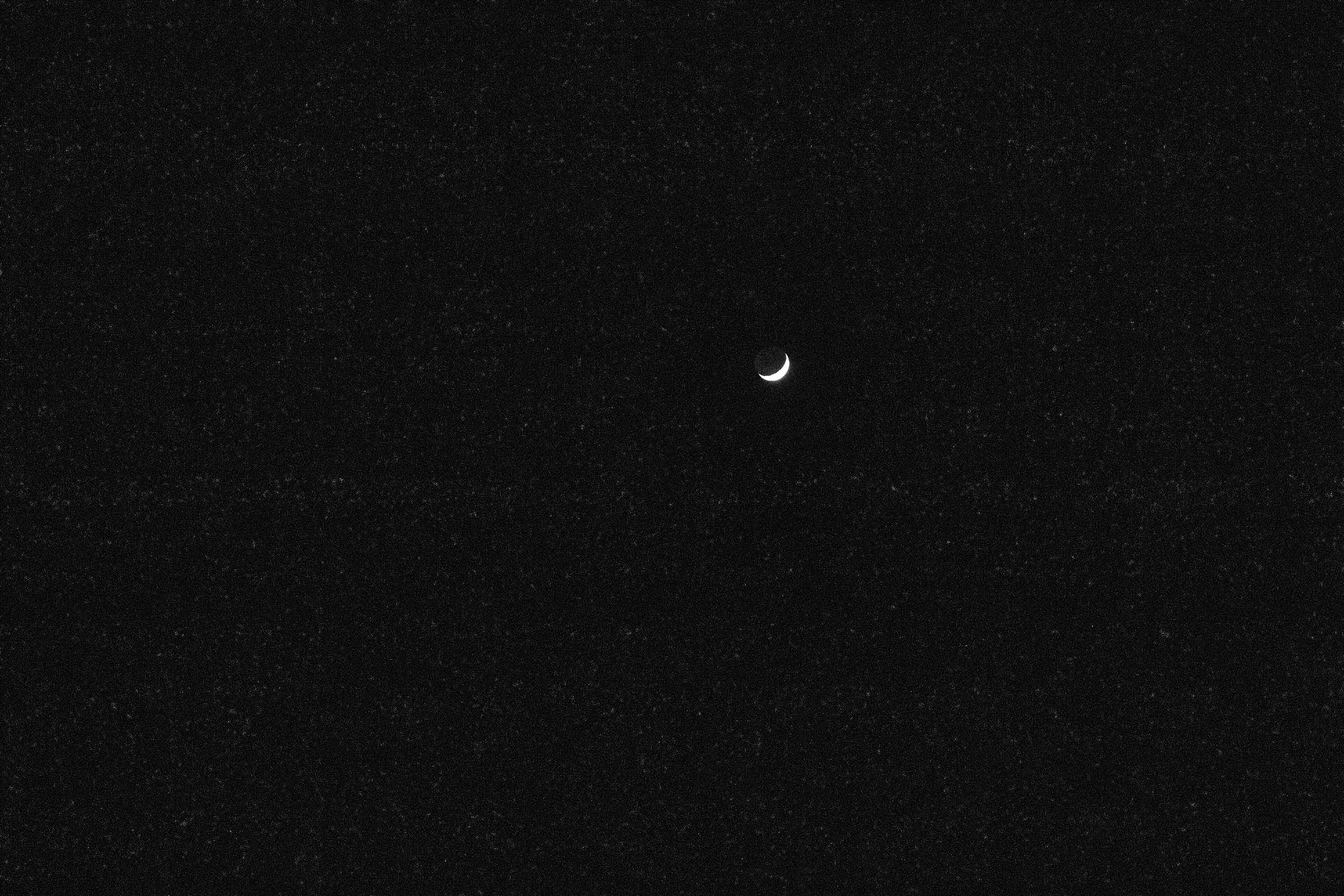 Шмитов Егор