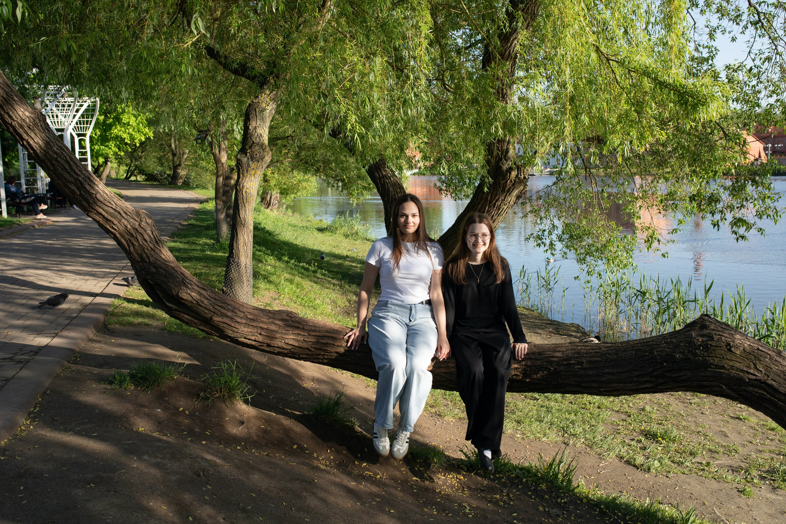 19/05/26 Лошицкий. Выпускные альбомы Cardsi