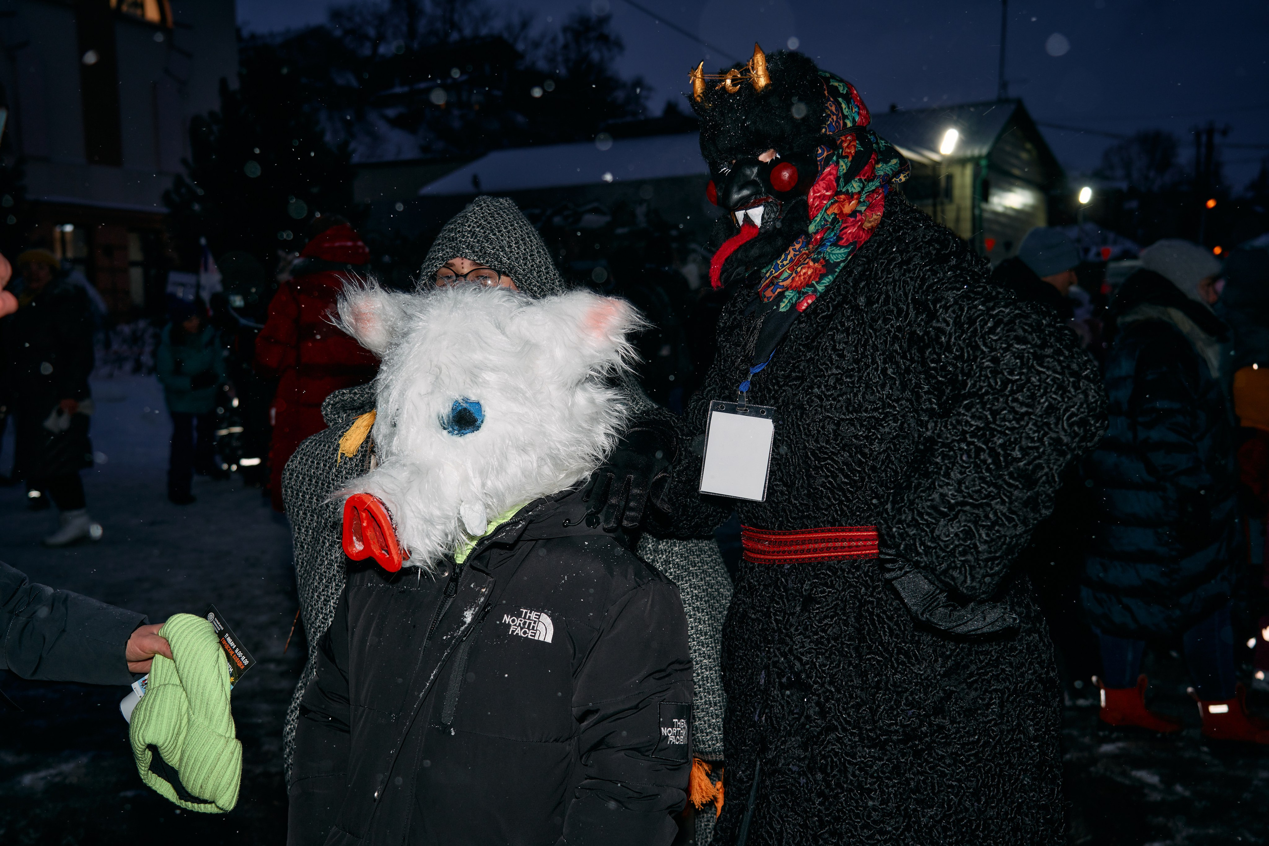 С медведем по соседям. Фотограф