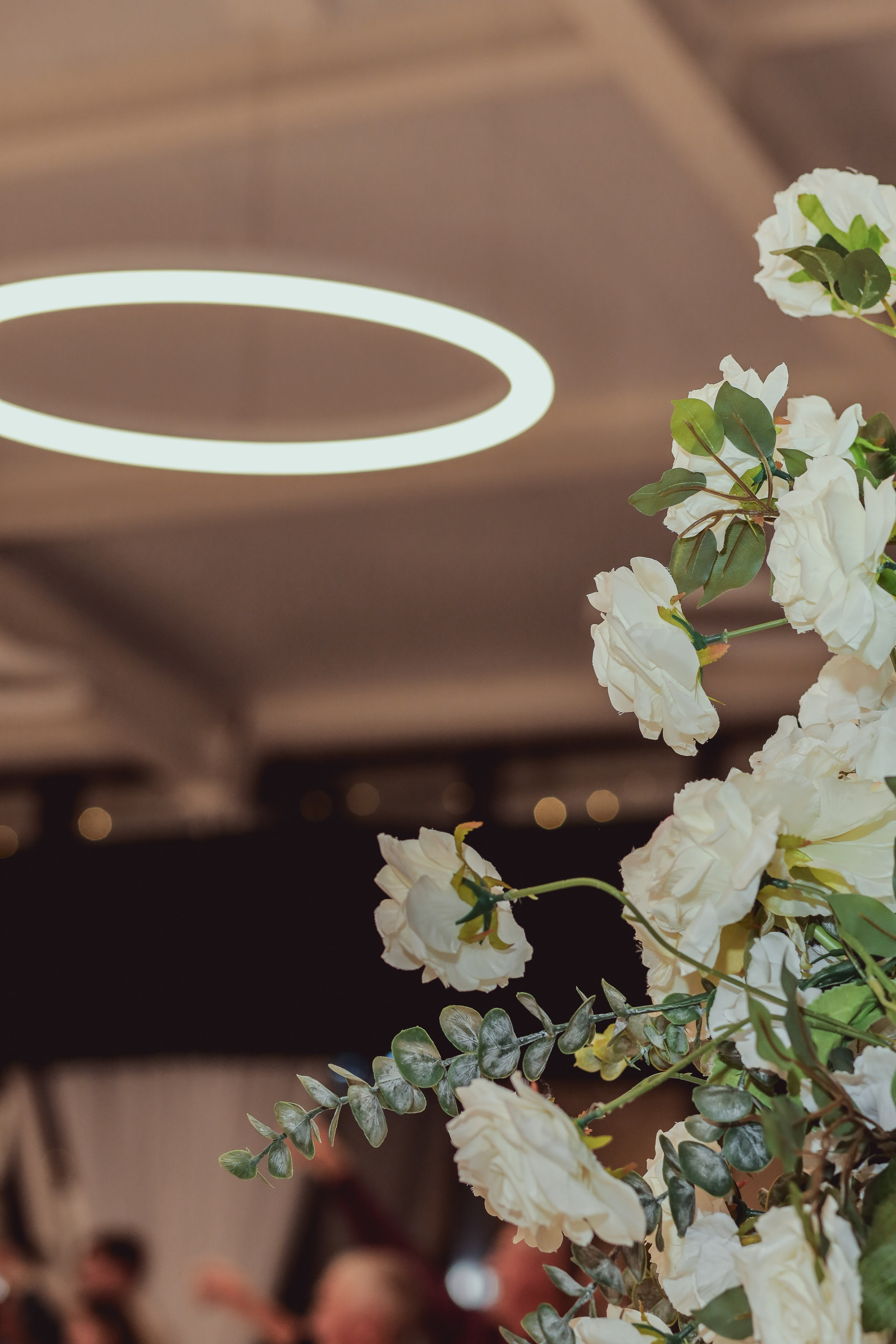 Юра и Настя. Семейный и свадебный фотограф Екатерина Михайлова