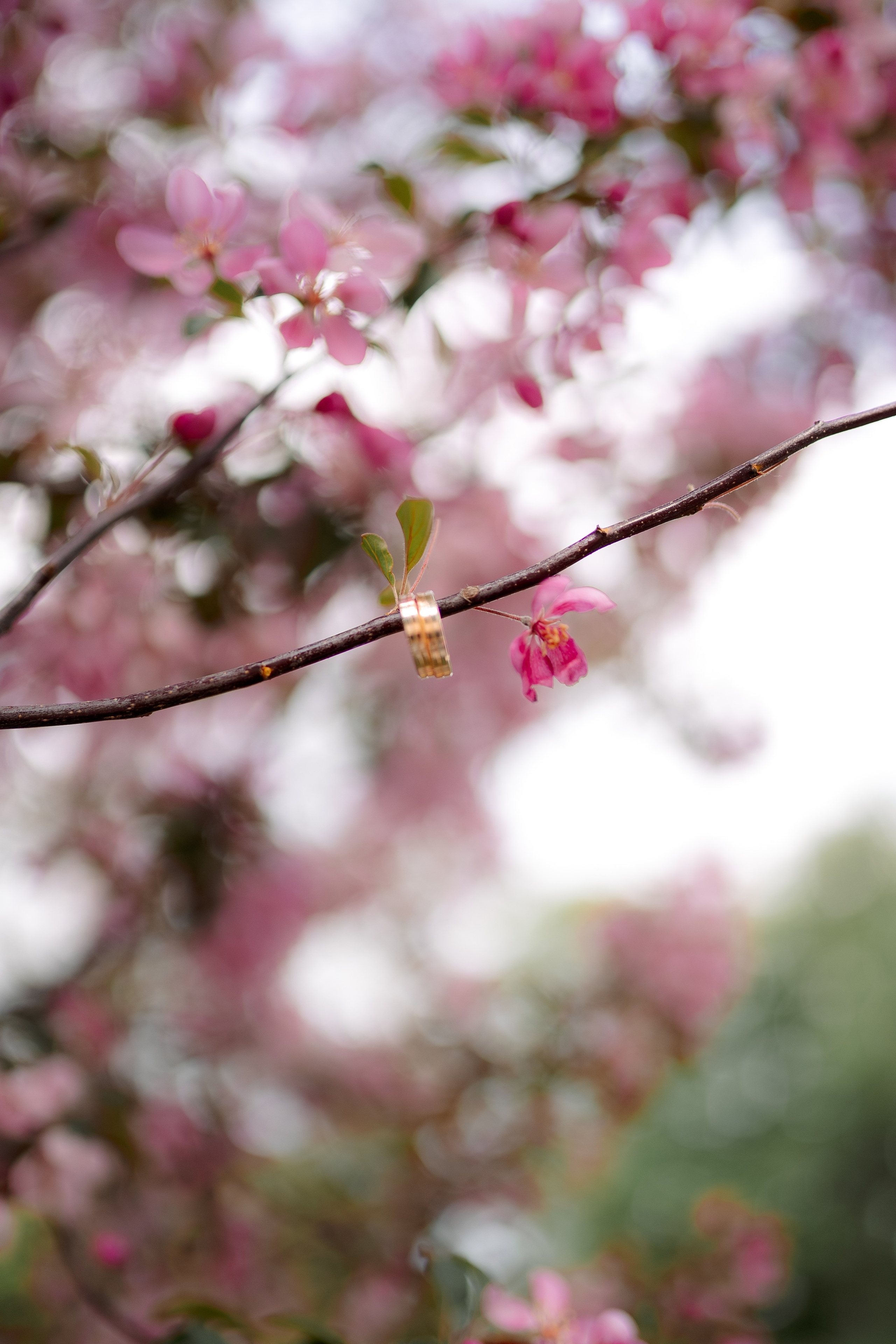 Парк. Фотограф Мария Зайчик